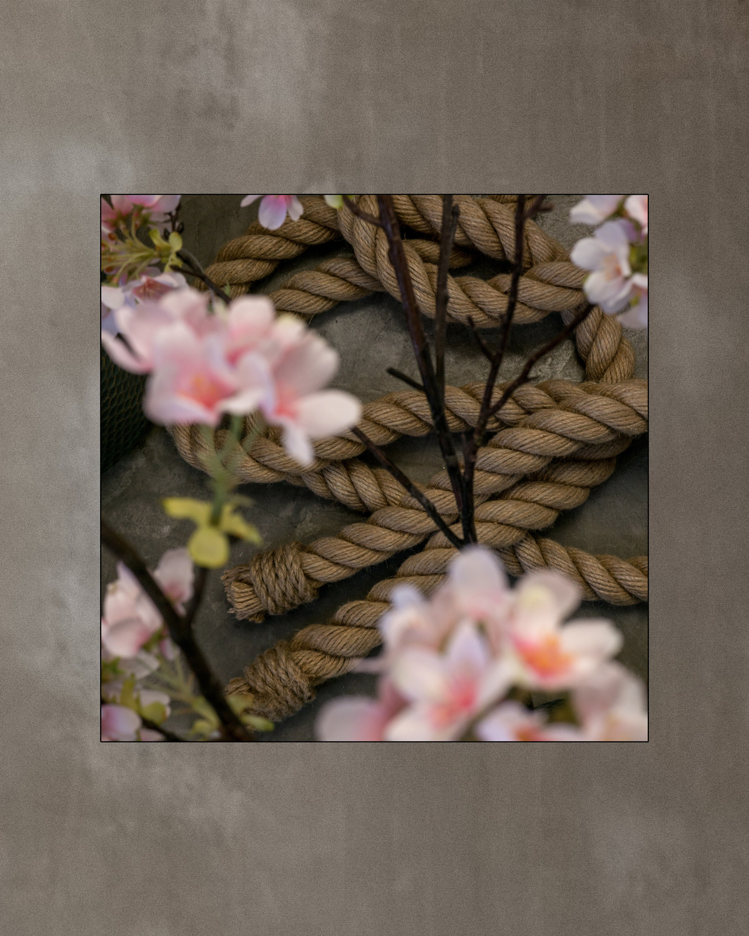 Lyzzy | ropes & flowers. Фотограф Валерий Федяев | vallerzu