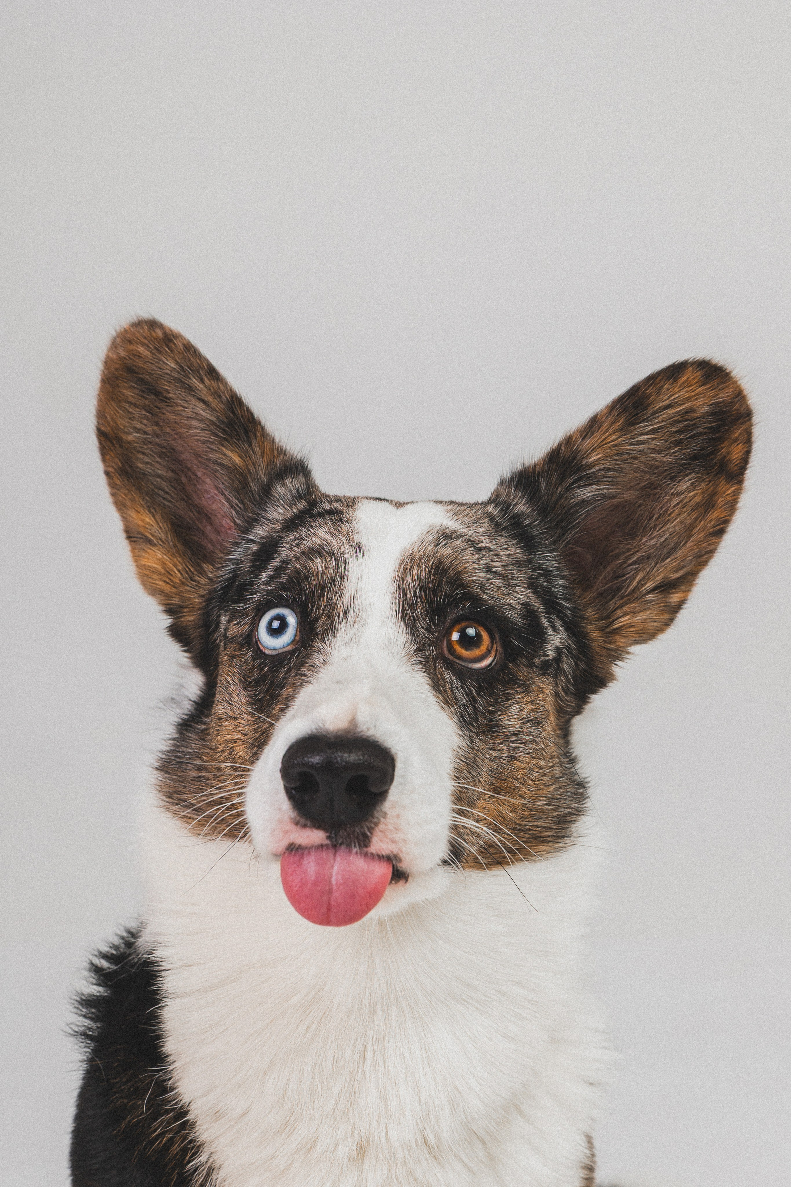 Анатолий и Рагнар