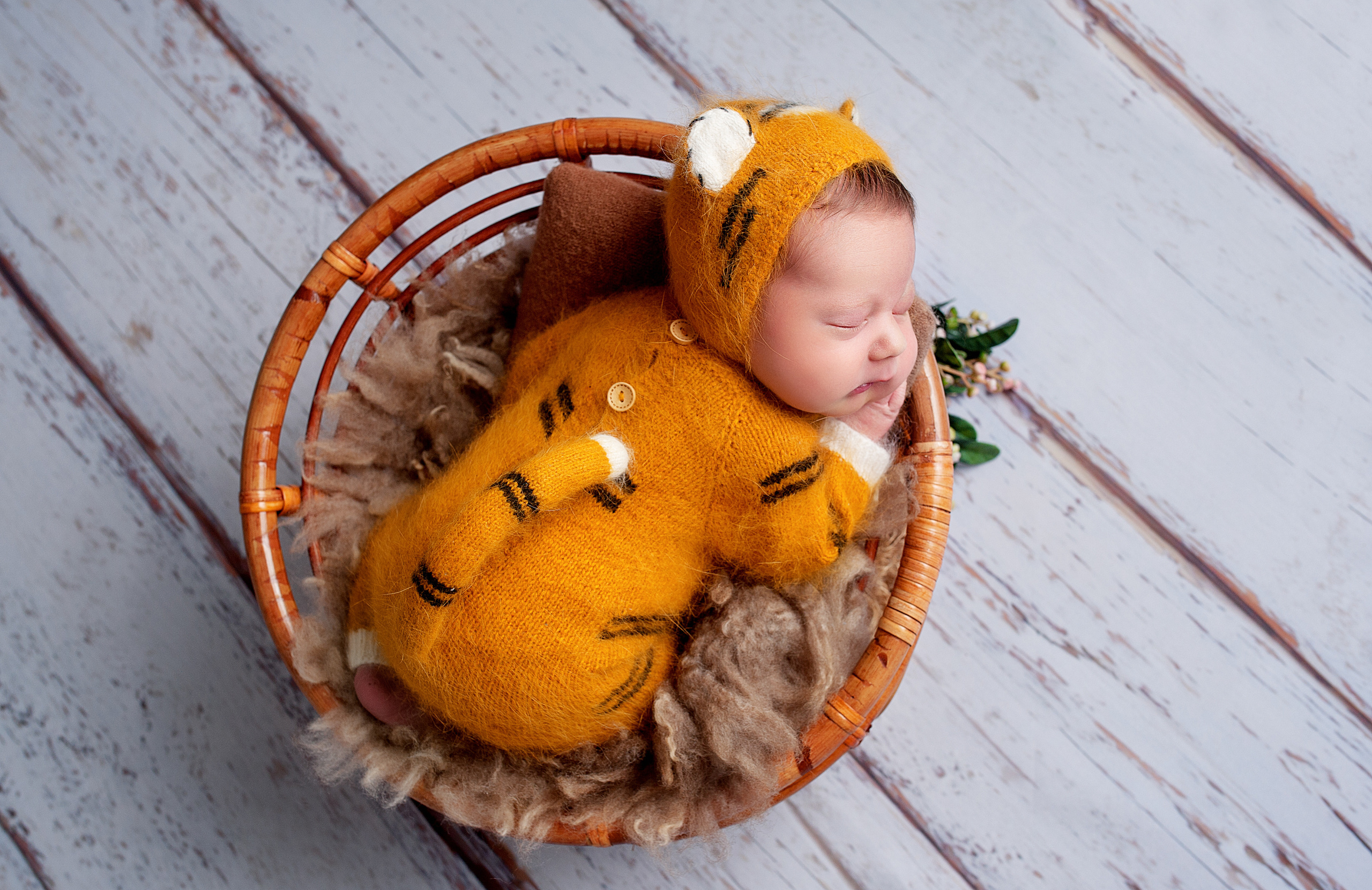 Фотосессия новорожденных в Ярославле. Ньюборн Ярославль. Наталья Михайлова Фотограф новорожденных в Ярославле