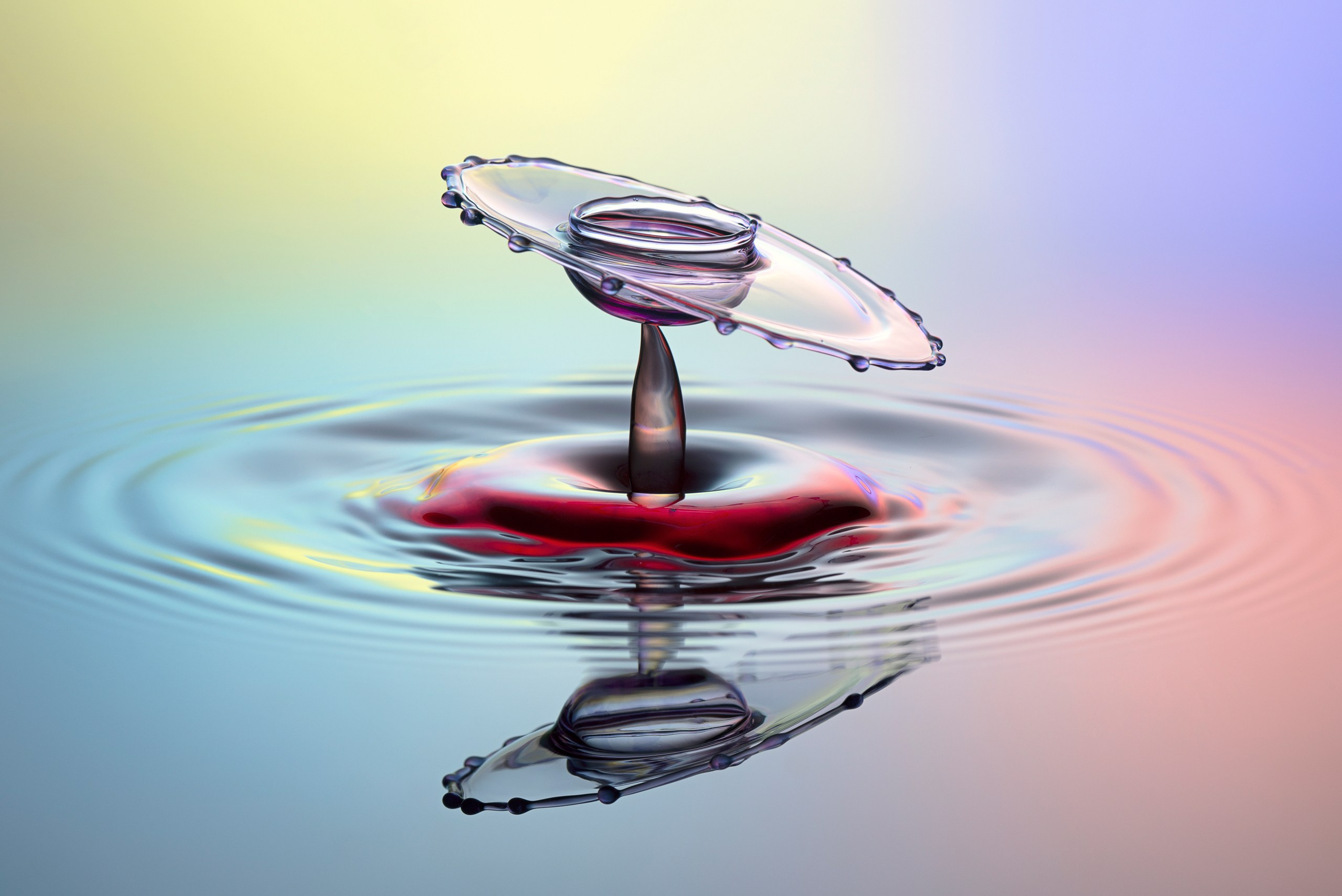 Классические формы. Скульптуры из воды Сергея Толмачева