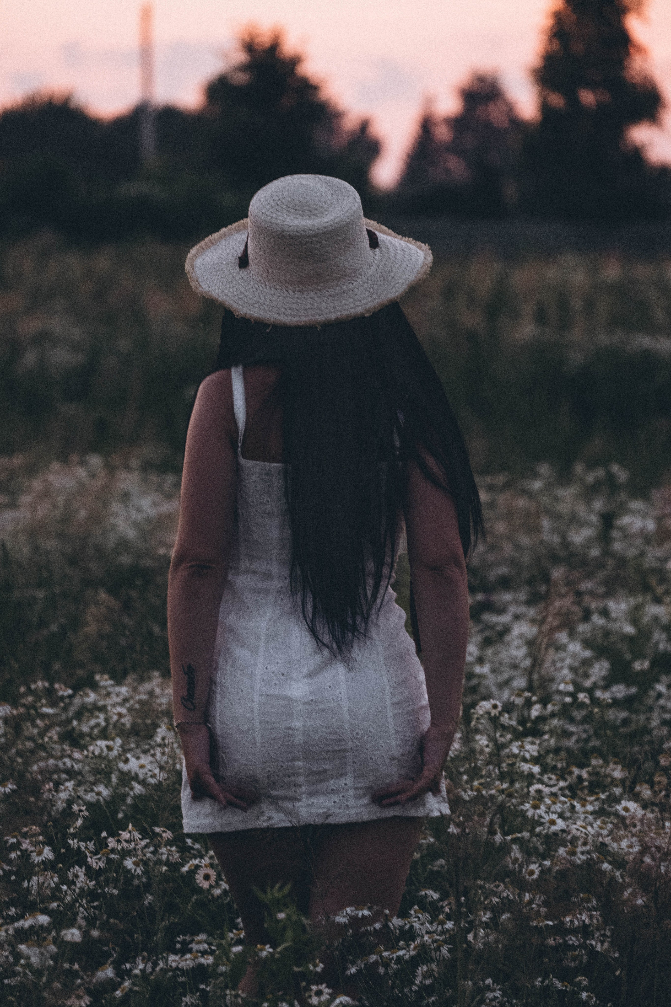 Ромашковое поле. Профессиональный фотограф, Санкт-Петербург — Виктория Богомолова