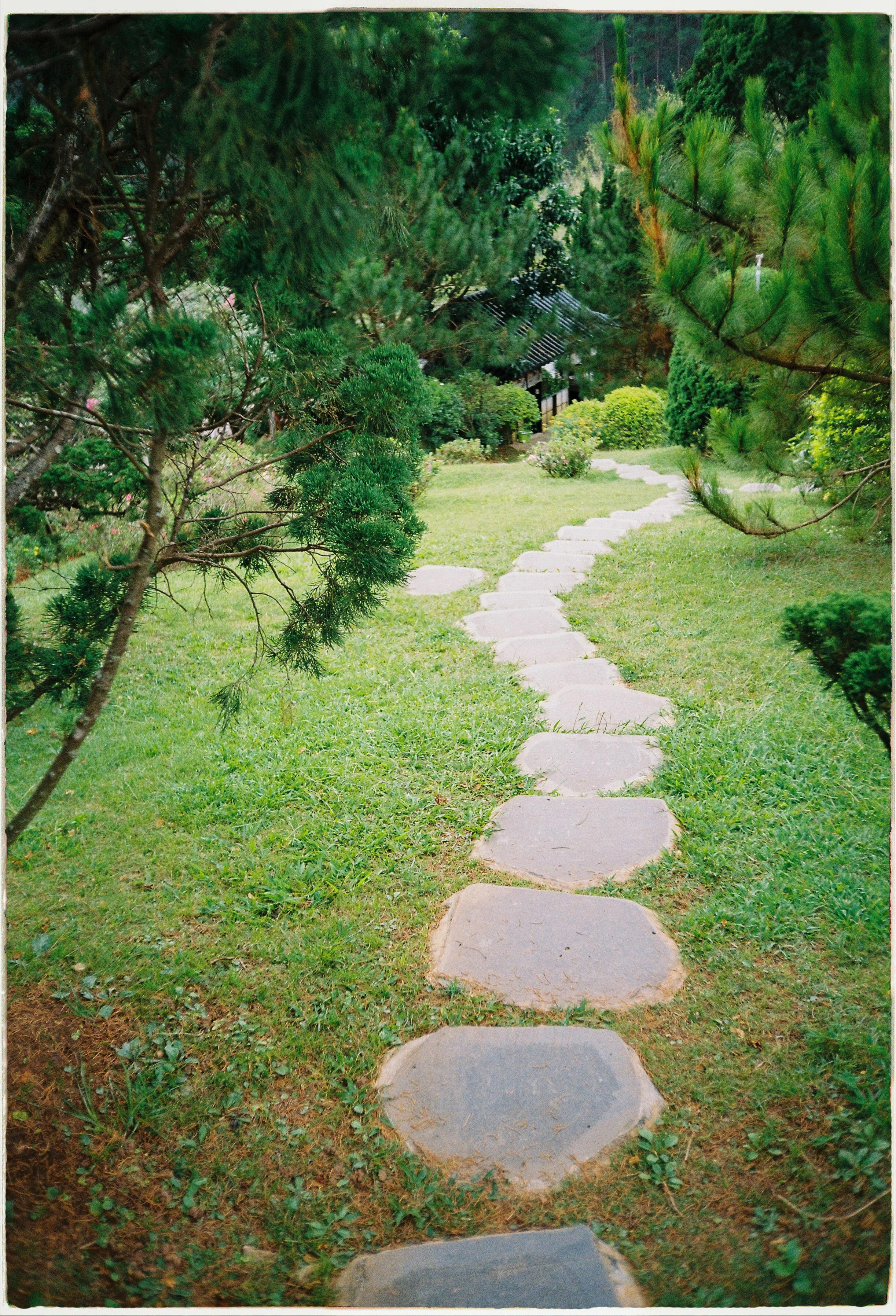 Que garden. Film Photographer in Da Nang, Vietnam — Tanya Parfenteva