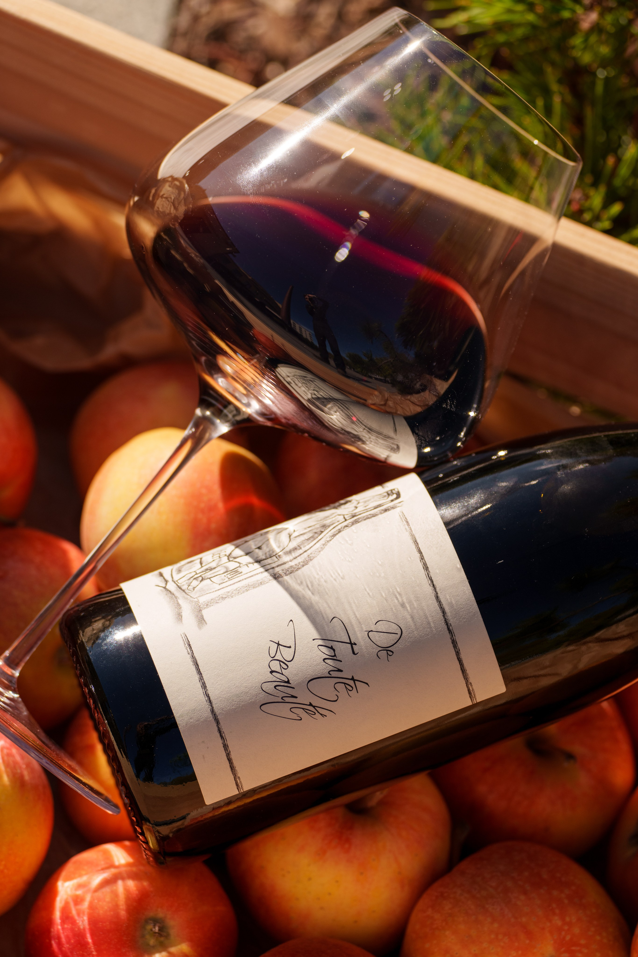 Ресторан | Бар. Фотограф в Санкт-Петербурге Лена Голубева