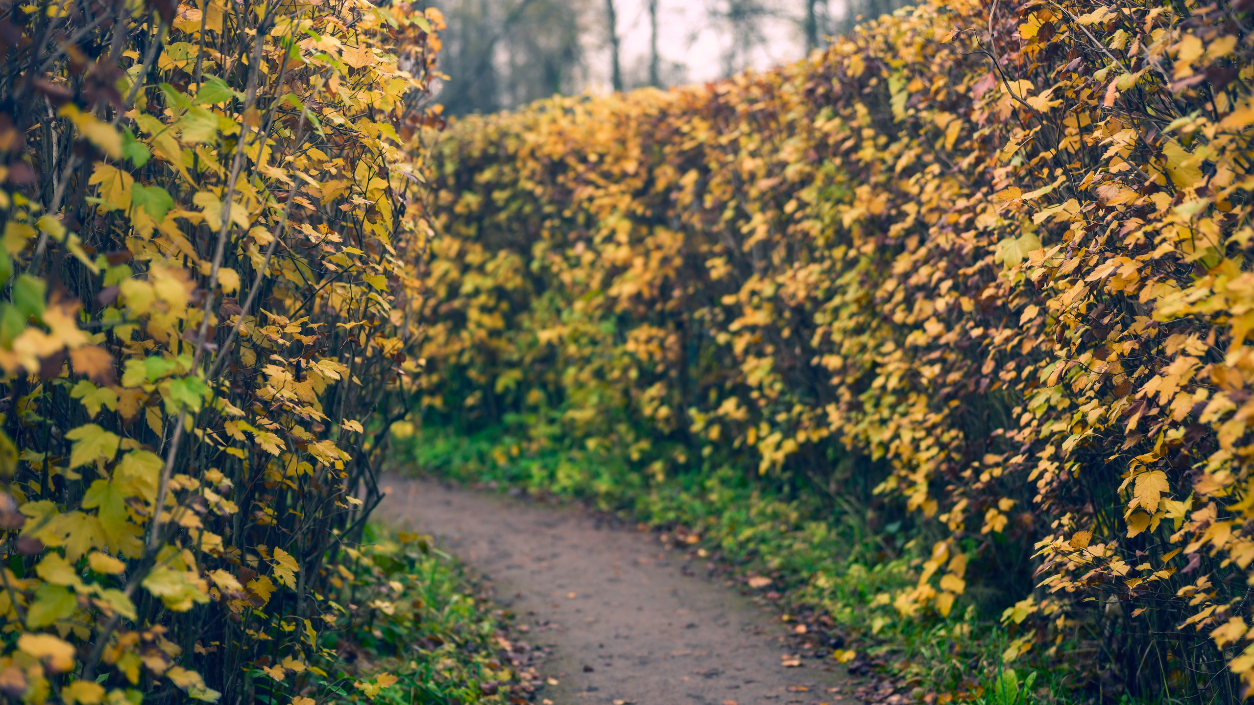 SAINT PETERSBURG | SUBURBS. Personal website of photographer Dmitry Raikin