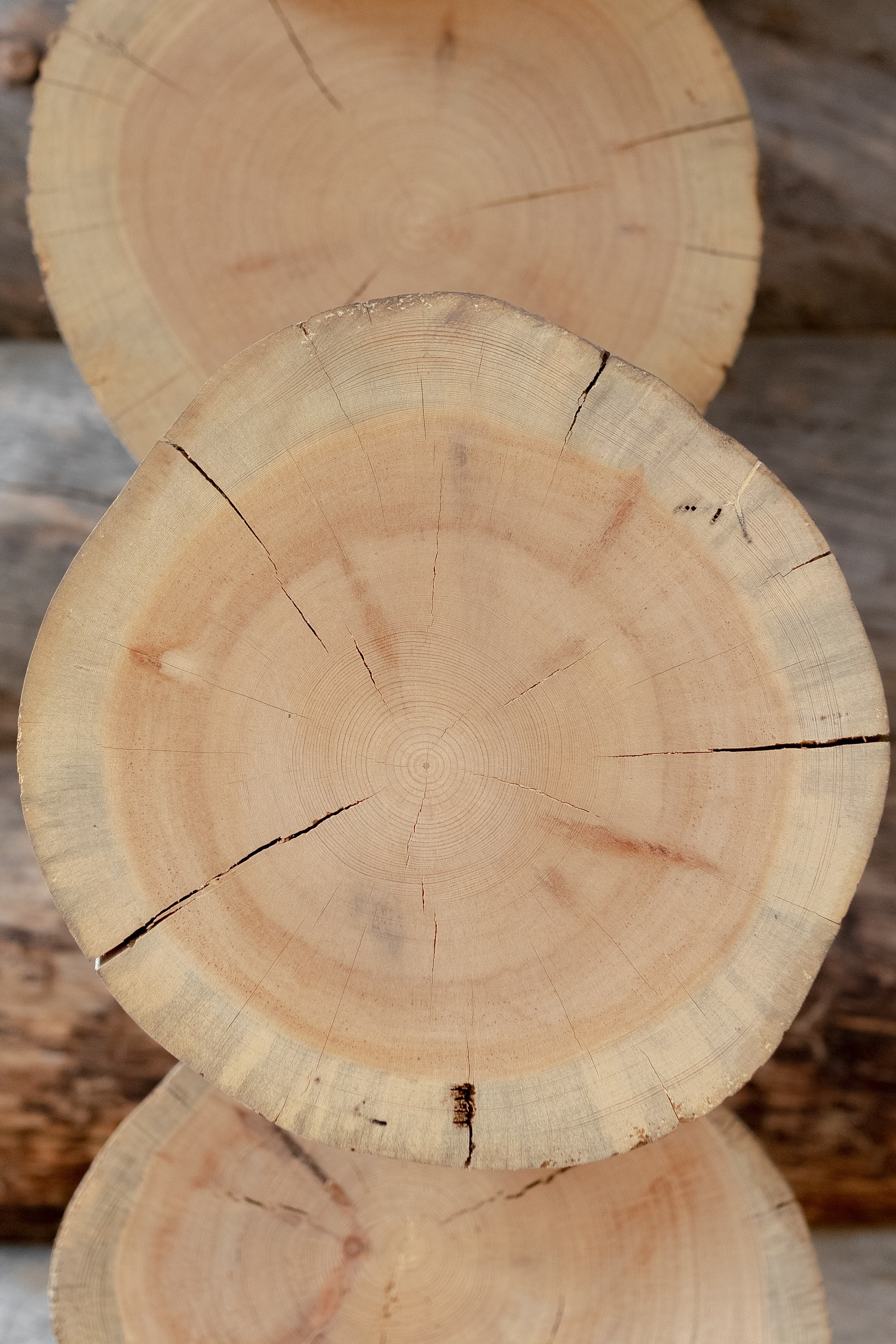 Кавказ Пар. Главная