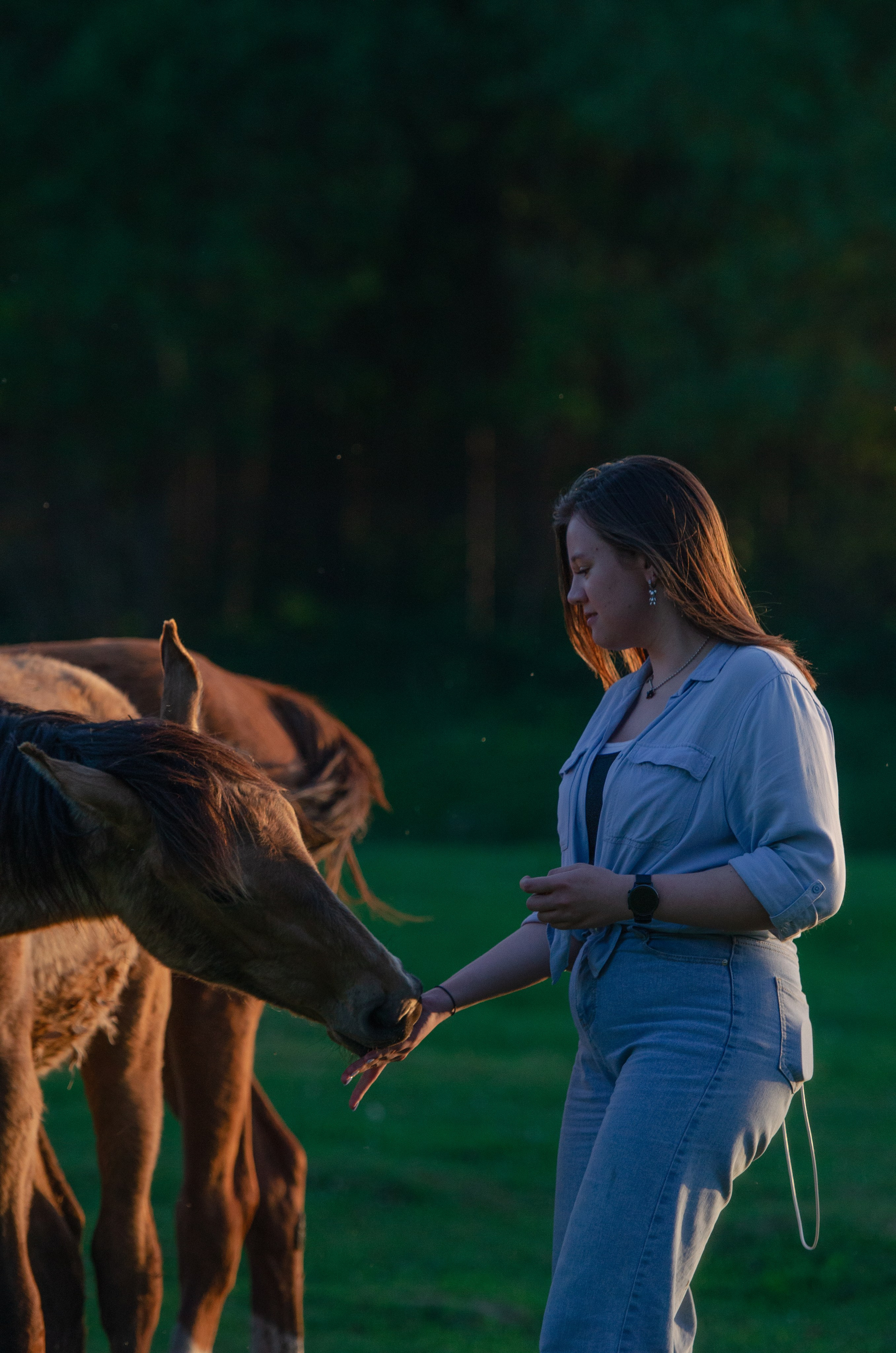 Съёмки с животными. Фотограф в Москве. София Казьмина