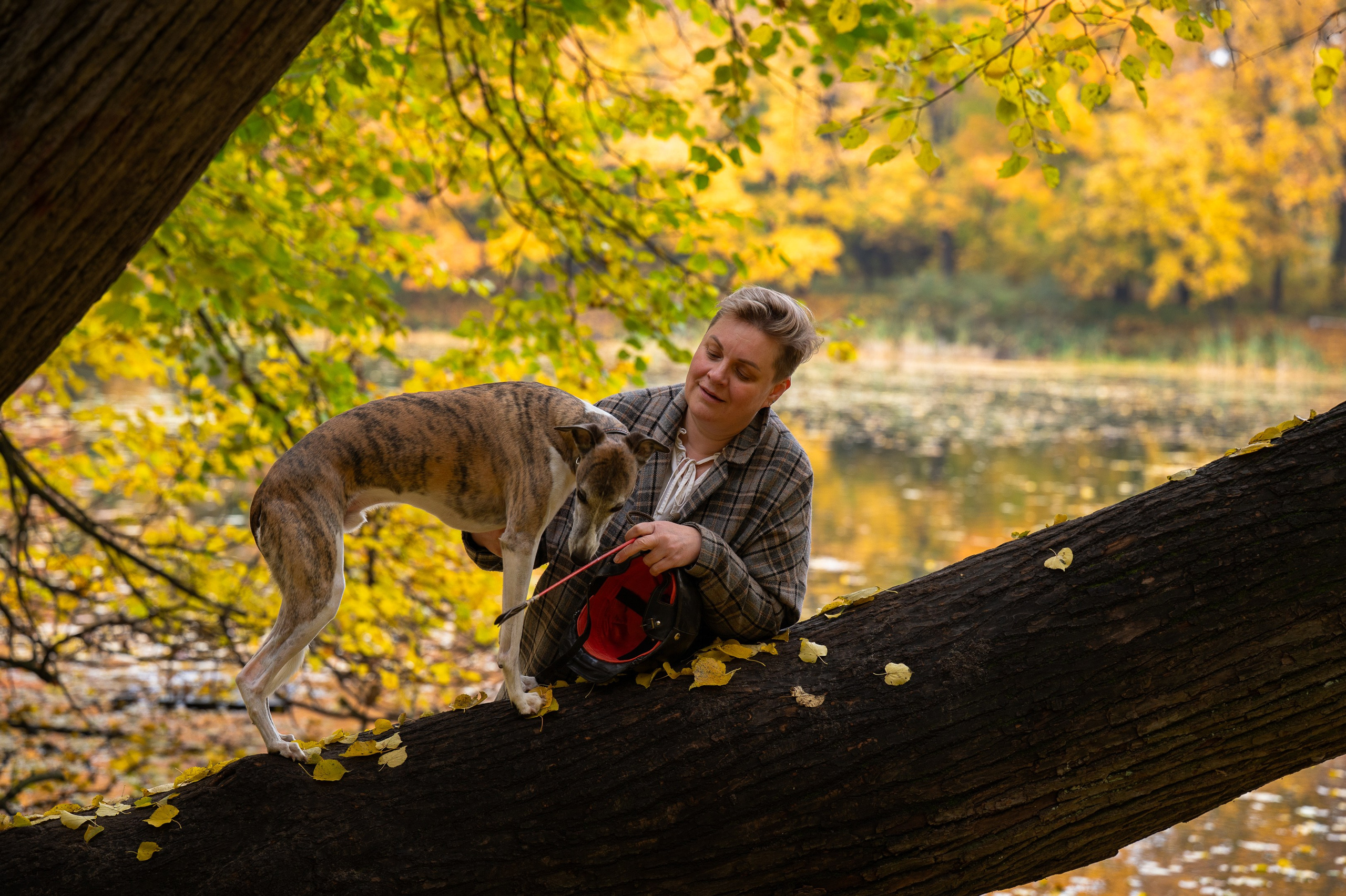 Diana and Freddo. Photographer in Moscow Anna Chistiakova