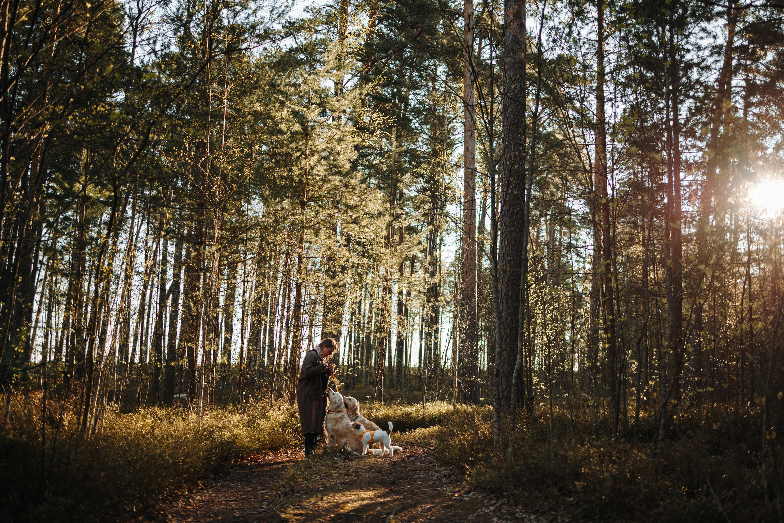 Катя и ее девочки. Фотограф — Анималист | Санкт-Петербург