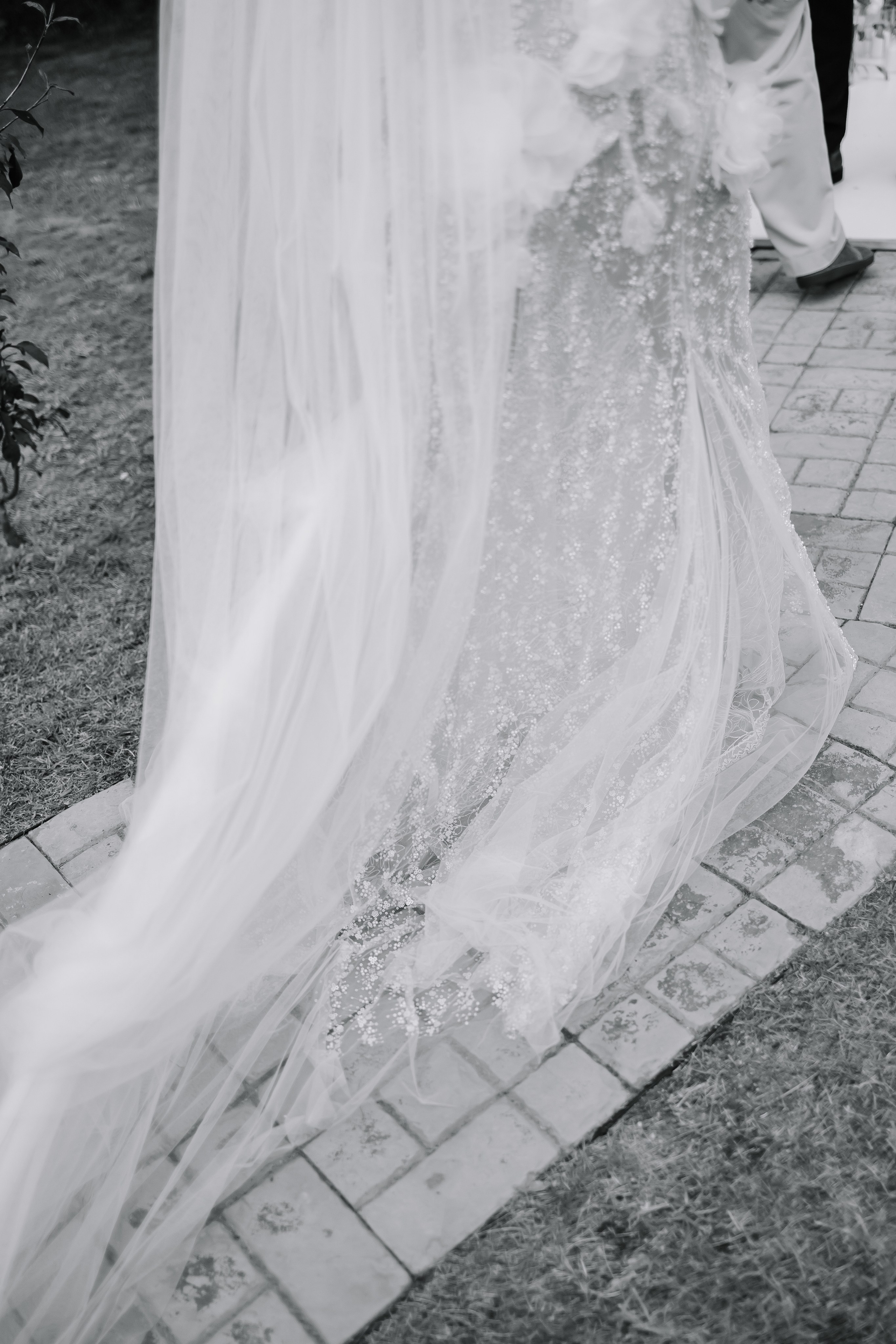 Егор/Арина. Свадебный фотограф