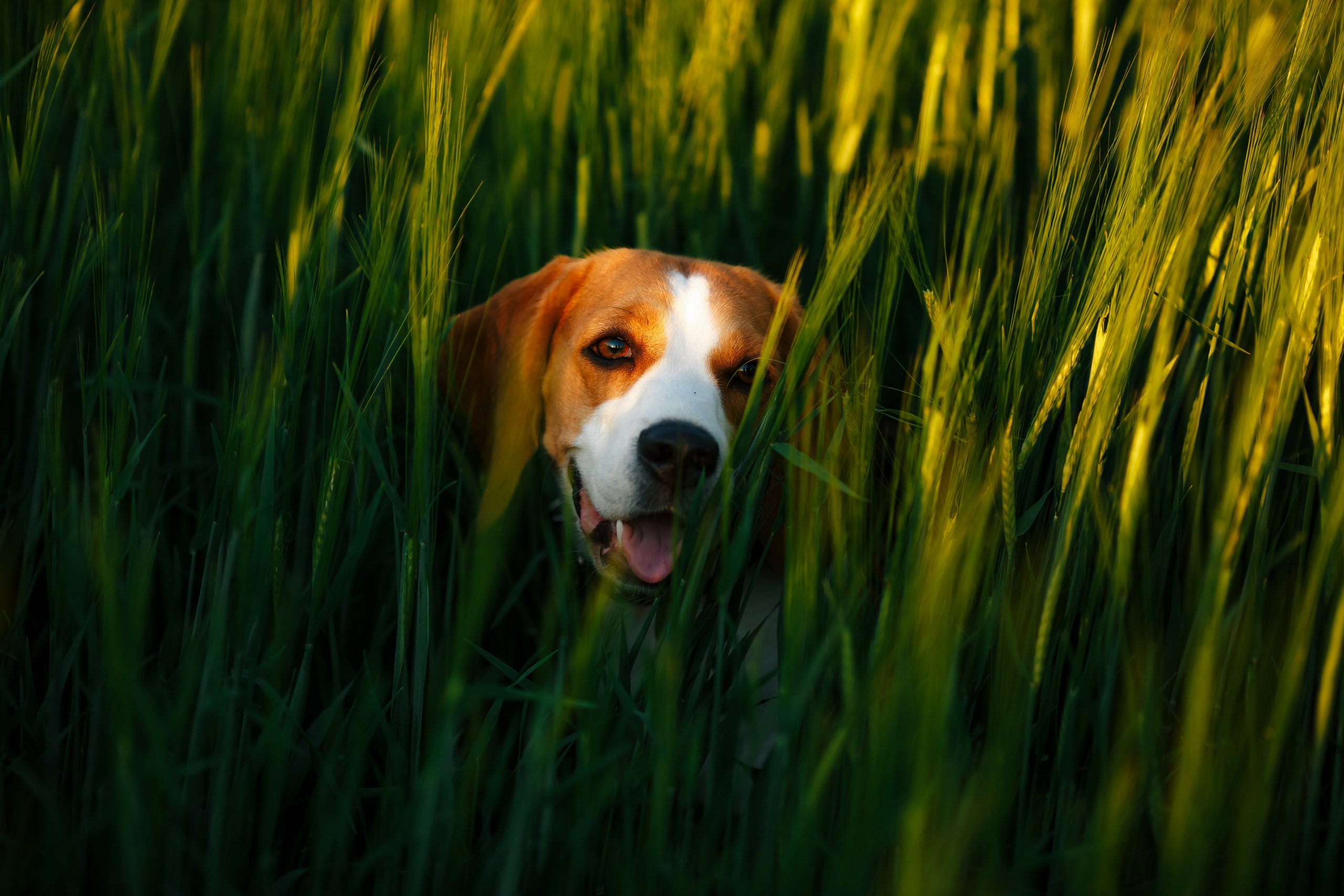 Настя. Фотограф Александра Рышкова