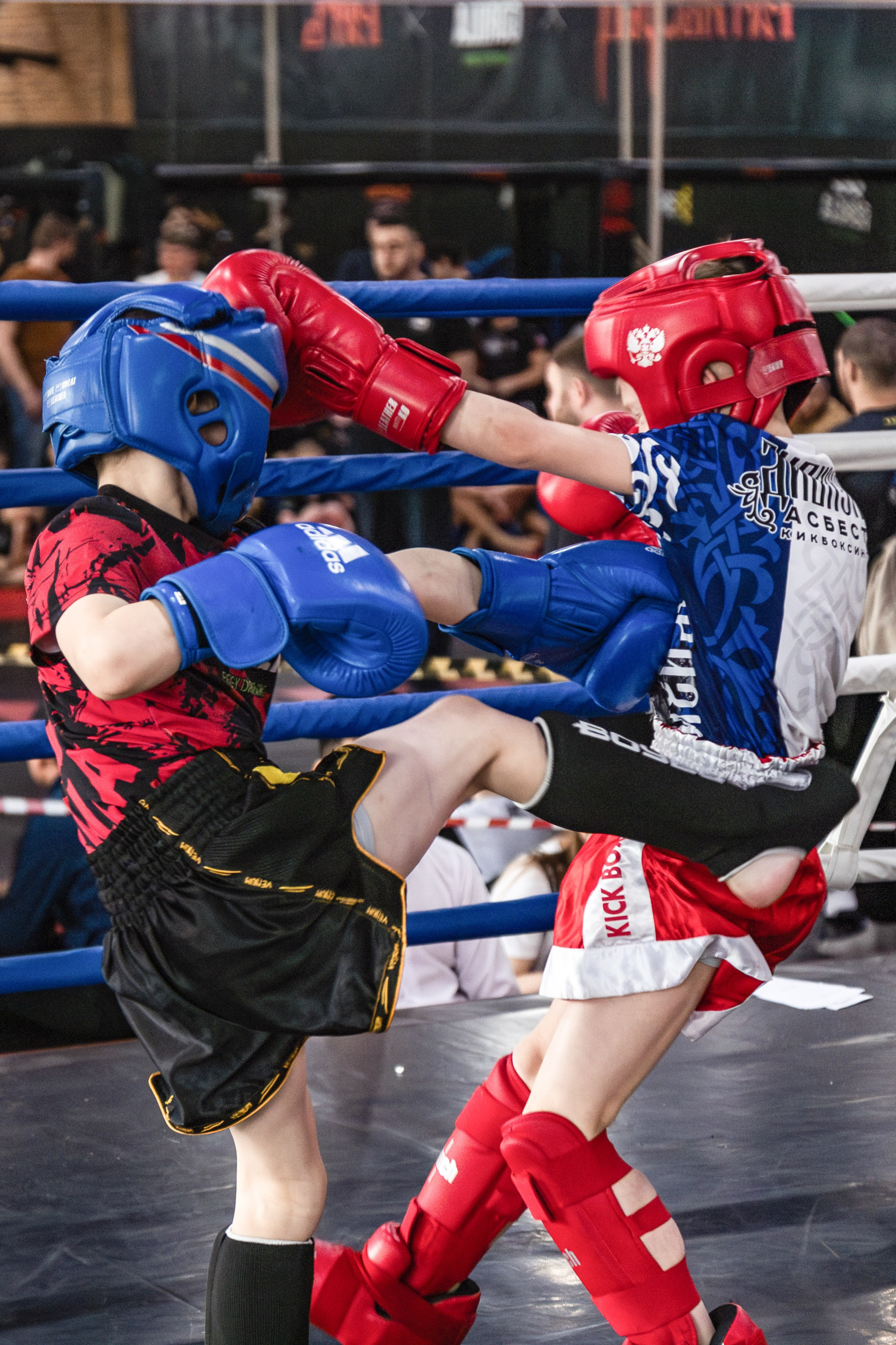 OCTAGON FIGHT IV | СК «Ратиборец». Репортажный фотограф Екатеринбург | Яркий, качественный репортаж | Концерты, клубы, репортаж, праздники, корпоративы