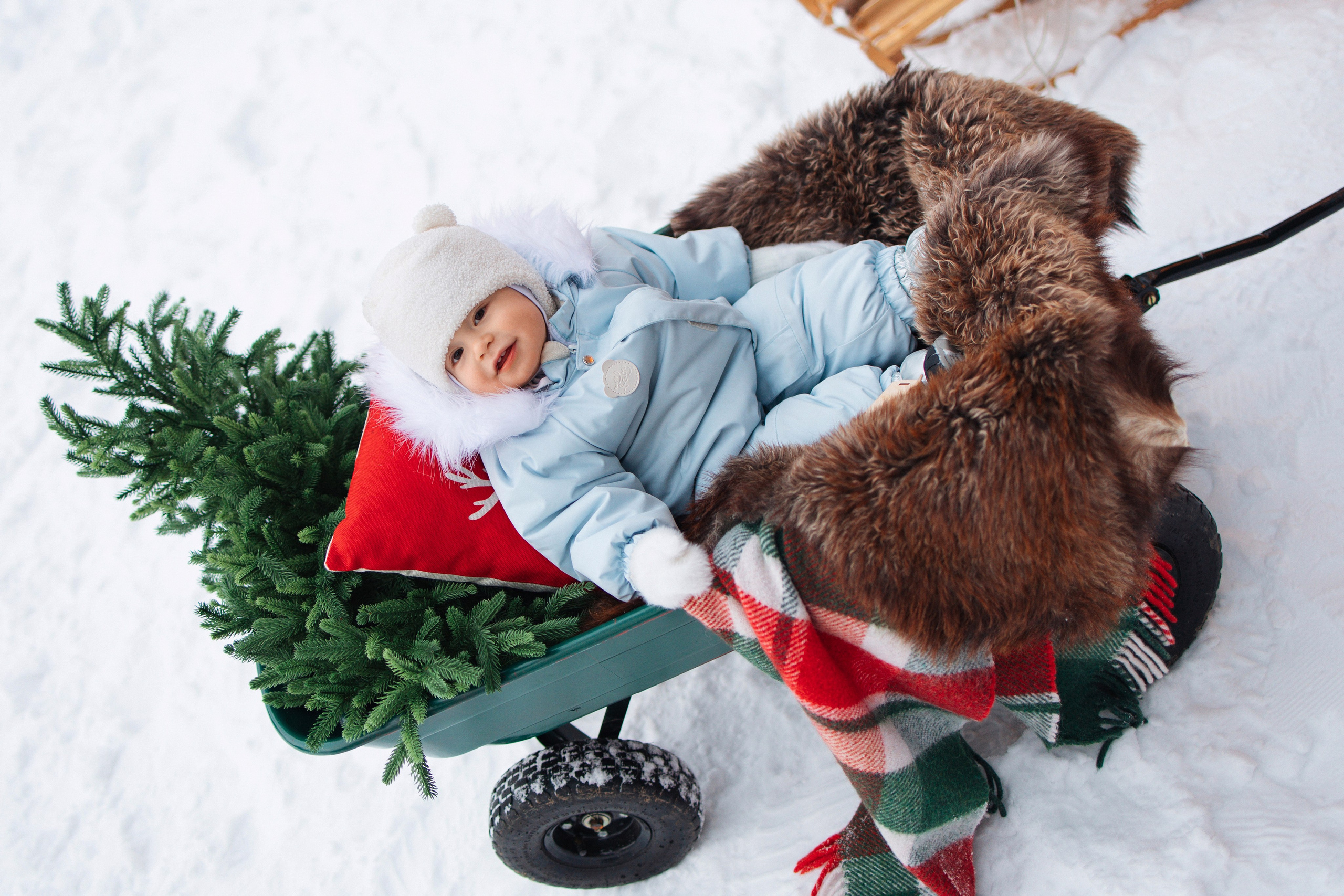 Ксения, Владимир, Леон, Шале в лесу. Семейный фотограф в Москве Марина Петра