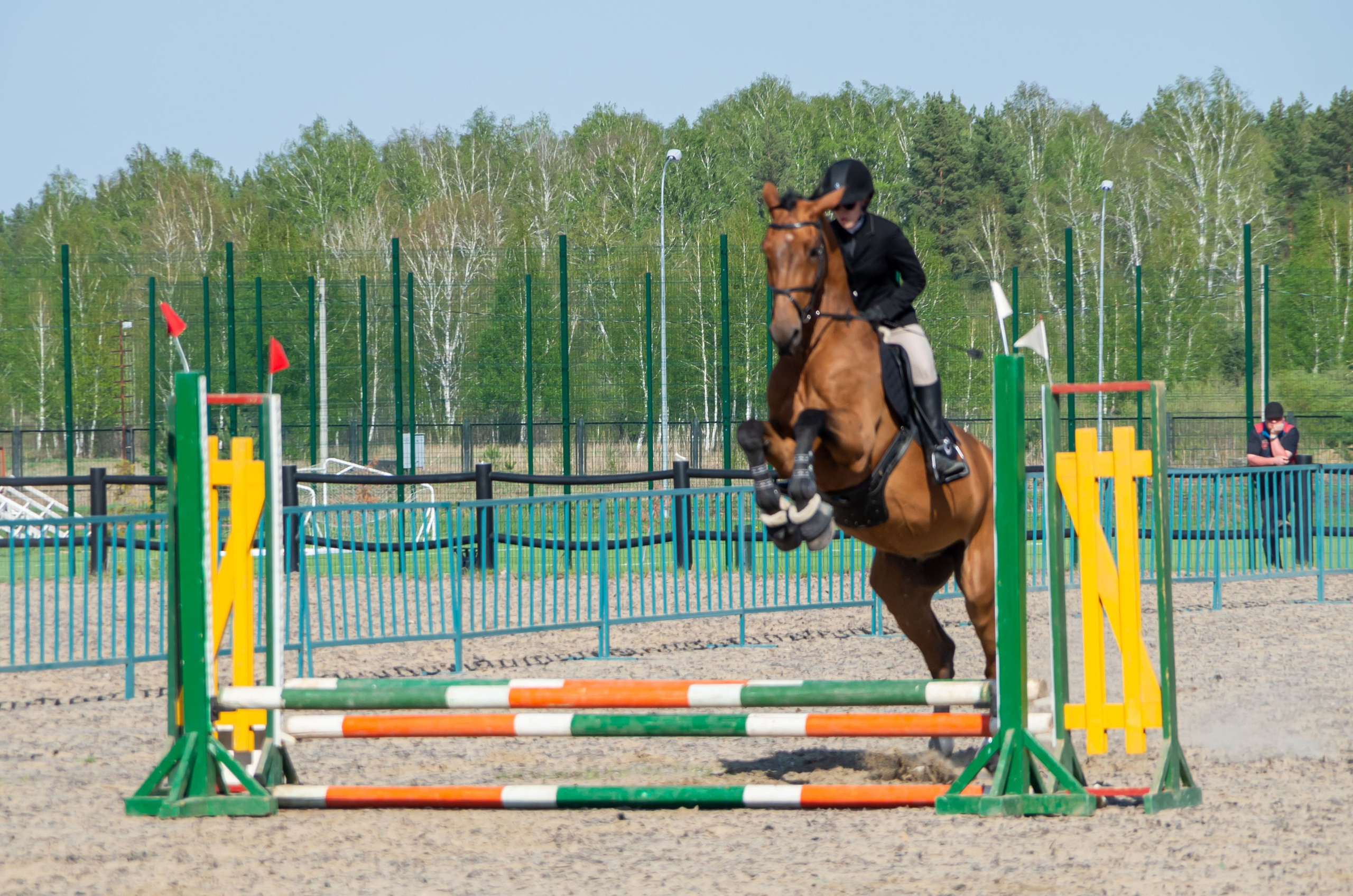 ДЕТИ & ЛОШАДИ. Фотограф Марина Доглядная Челябинск фотосессии с лошадьми, мотоциклами