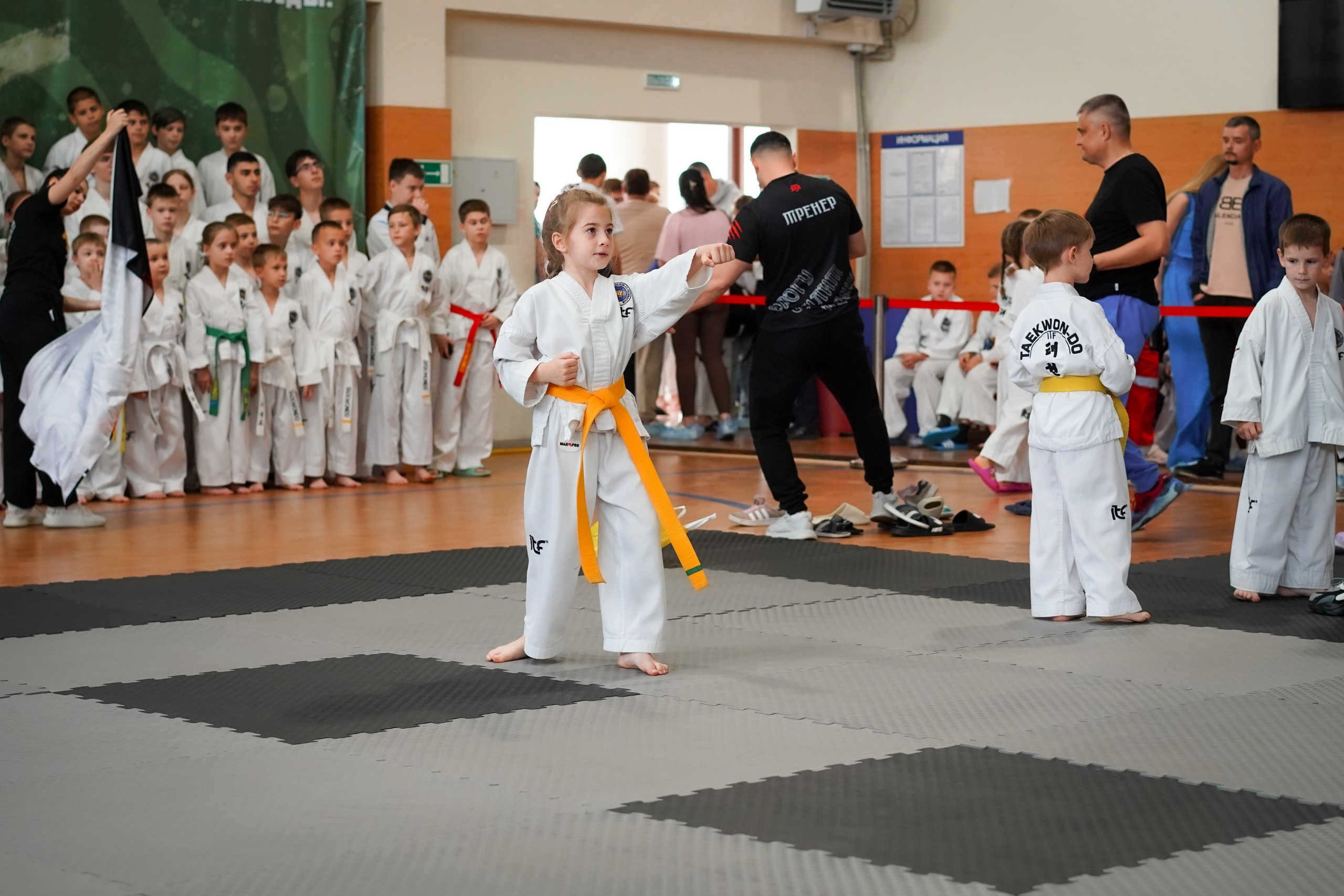 Тхэквандо — соревнования. Выпускные альбомы Натальи Бутко: Новороссийск, Анапа, Геленджик