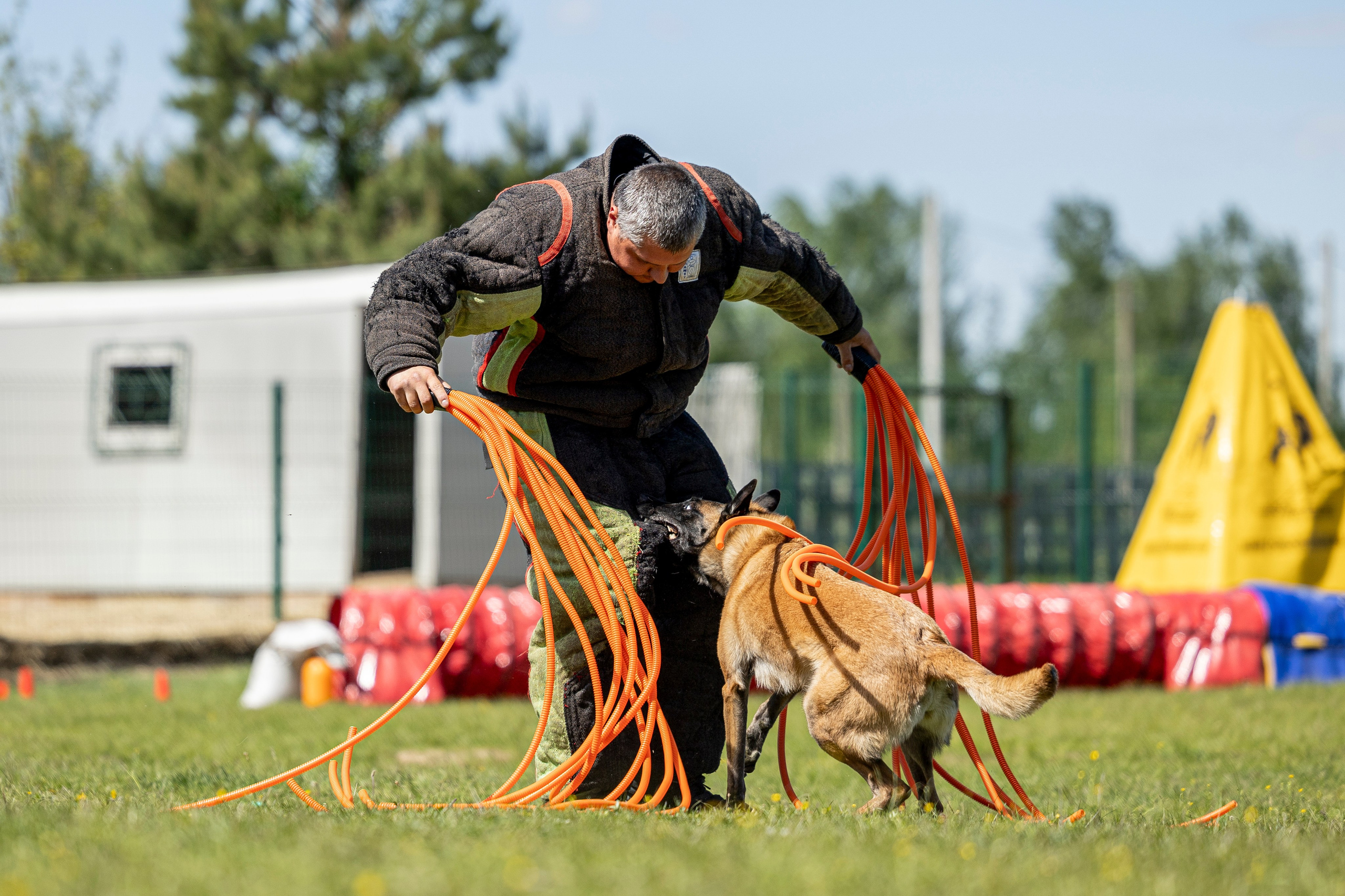 Испытания по мондьорингу в Нижнем Новгороде. Фотограф-анималист Анна Маринич