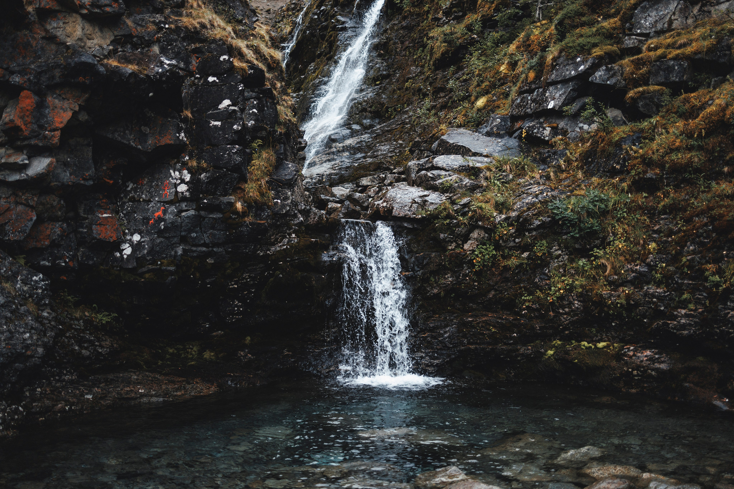 Водопад. Фотограф-анималист Анна Маринич
