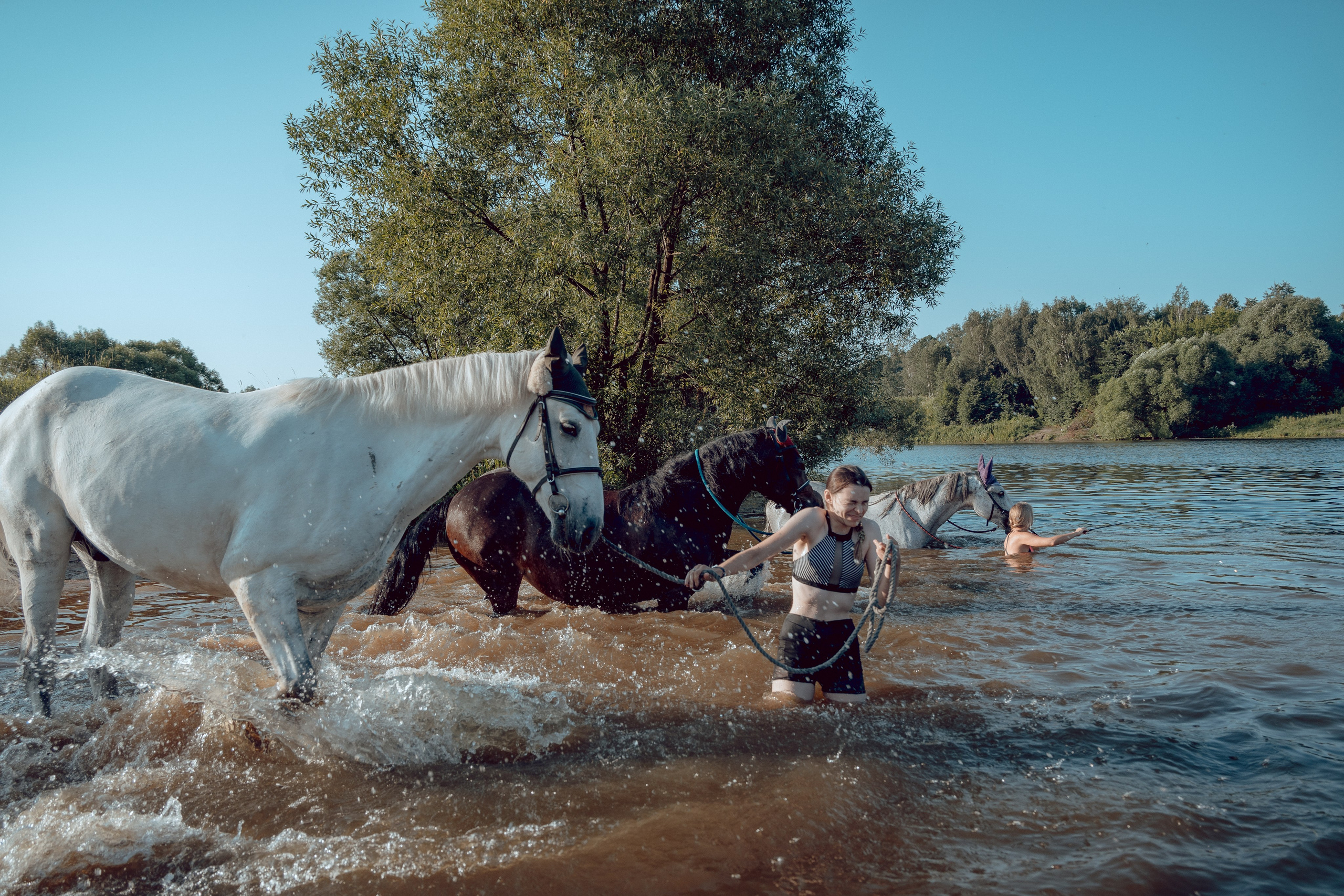 Купание лошадей 05.07.2024. Портретный и семейный фотограф в Москве/Видное