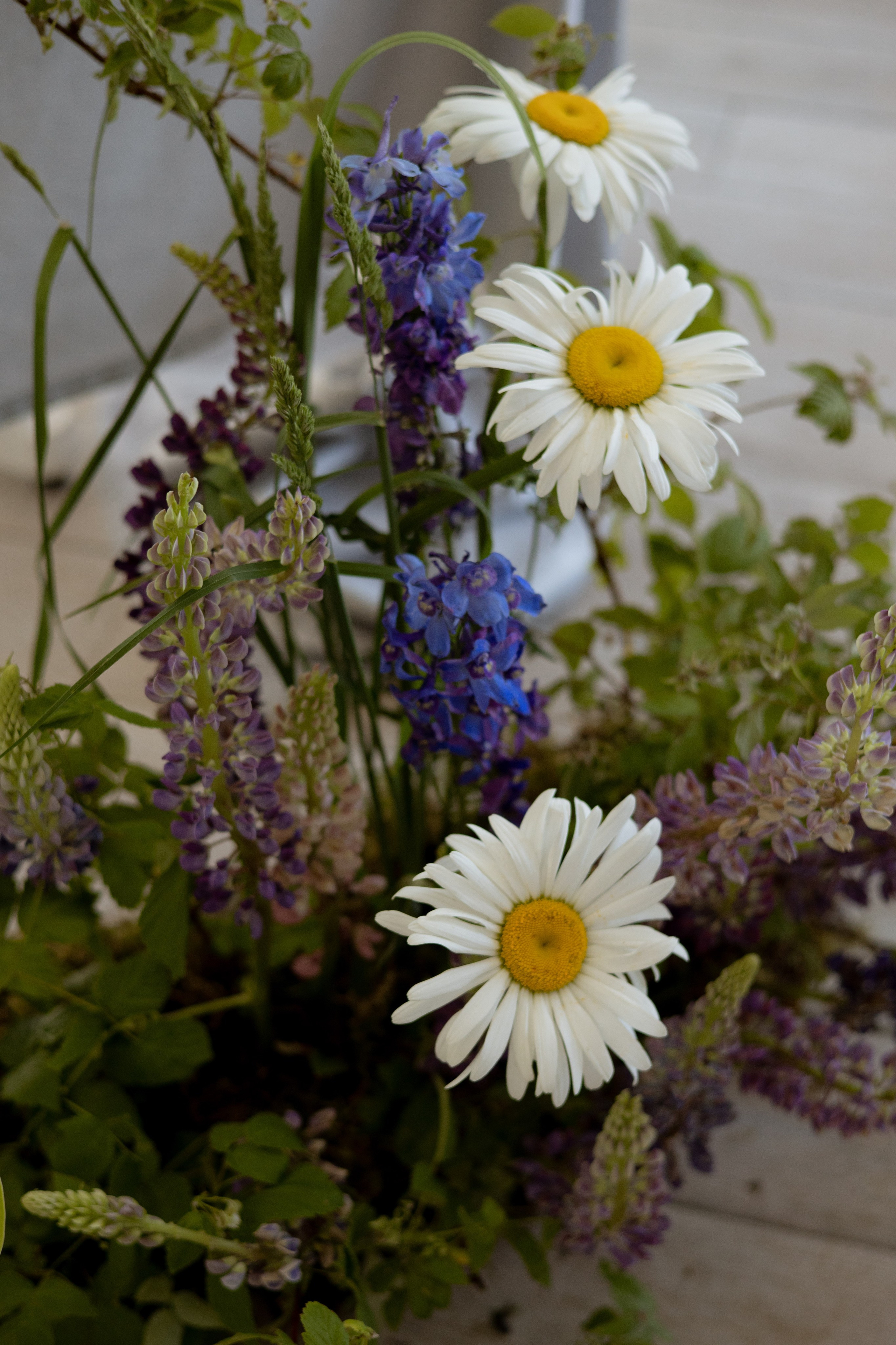 «Московское небо». Оформление свадеб, декор свадеб Вера Маркова, Москва