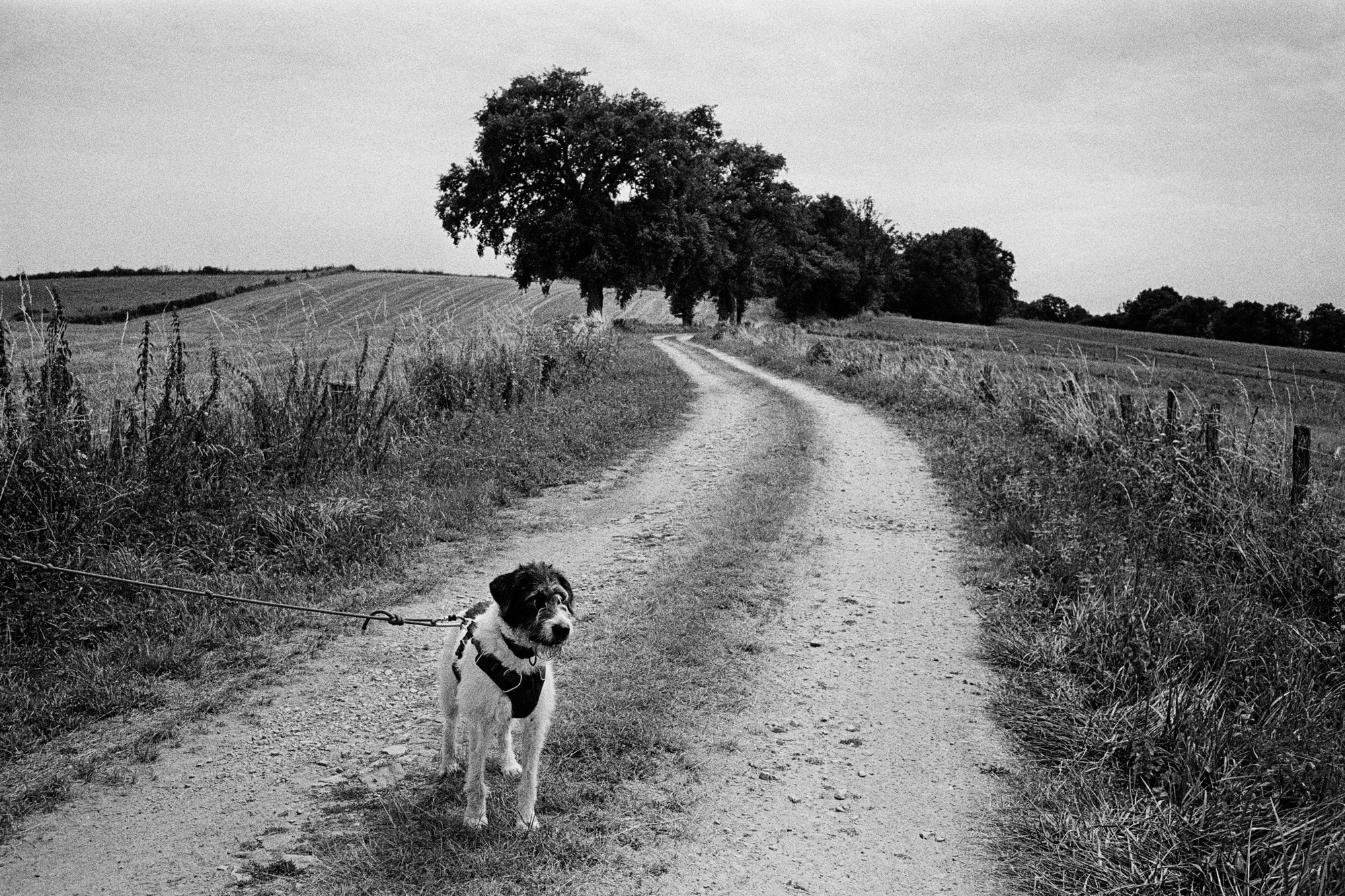 Memories of France. Документальный фотограф Алексей Мякишев, Москва