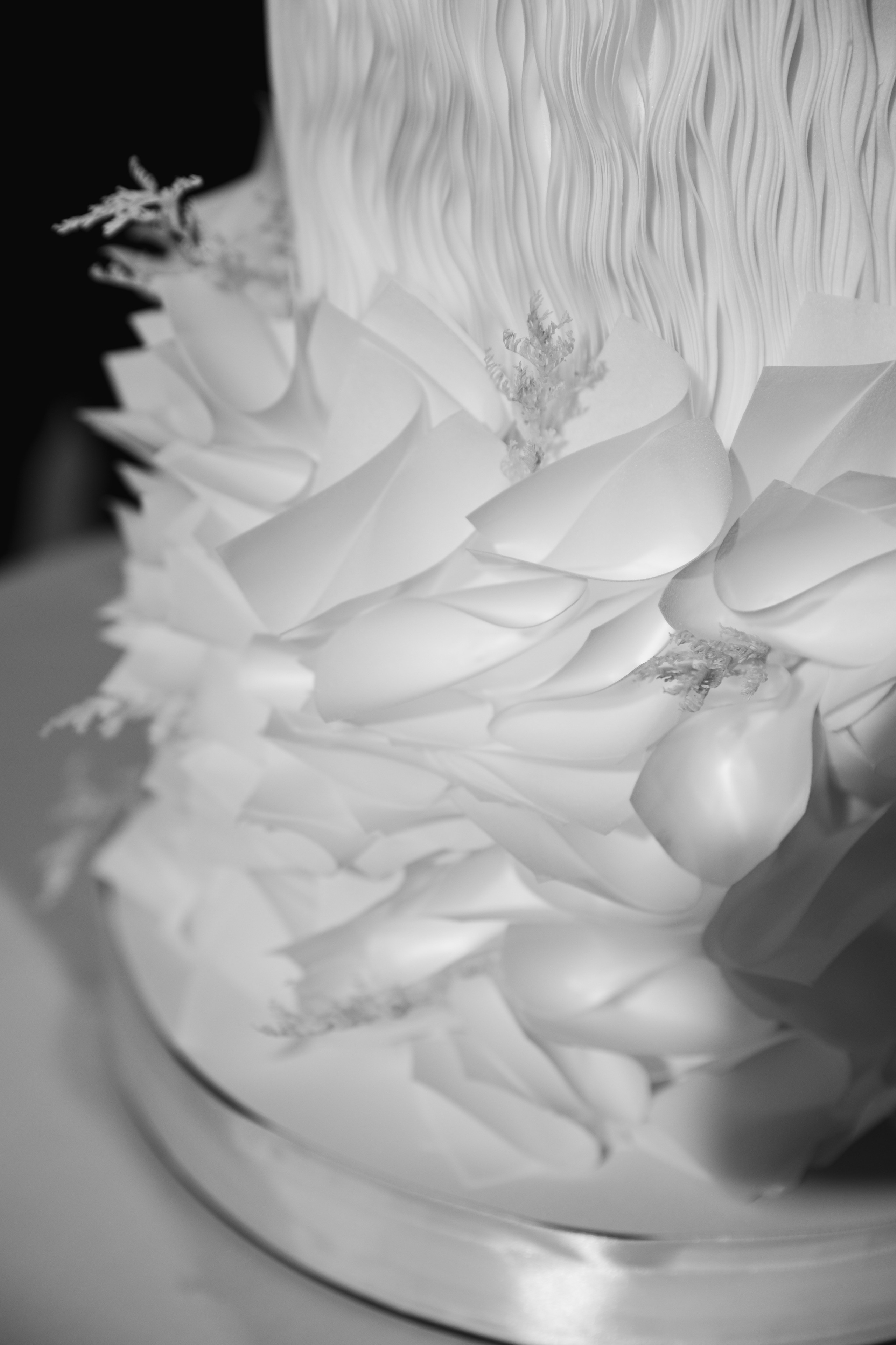 Свадьба Илья и Вероника. Свадебный и семейный фотограф в Севастополе и Крыму Анастасия Сураева