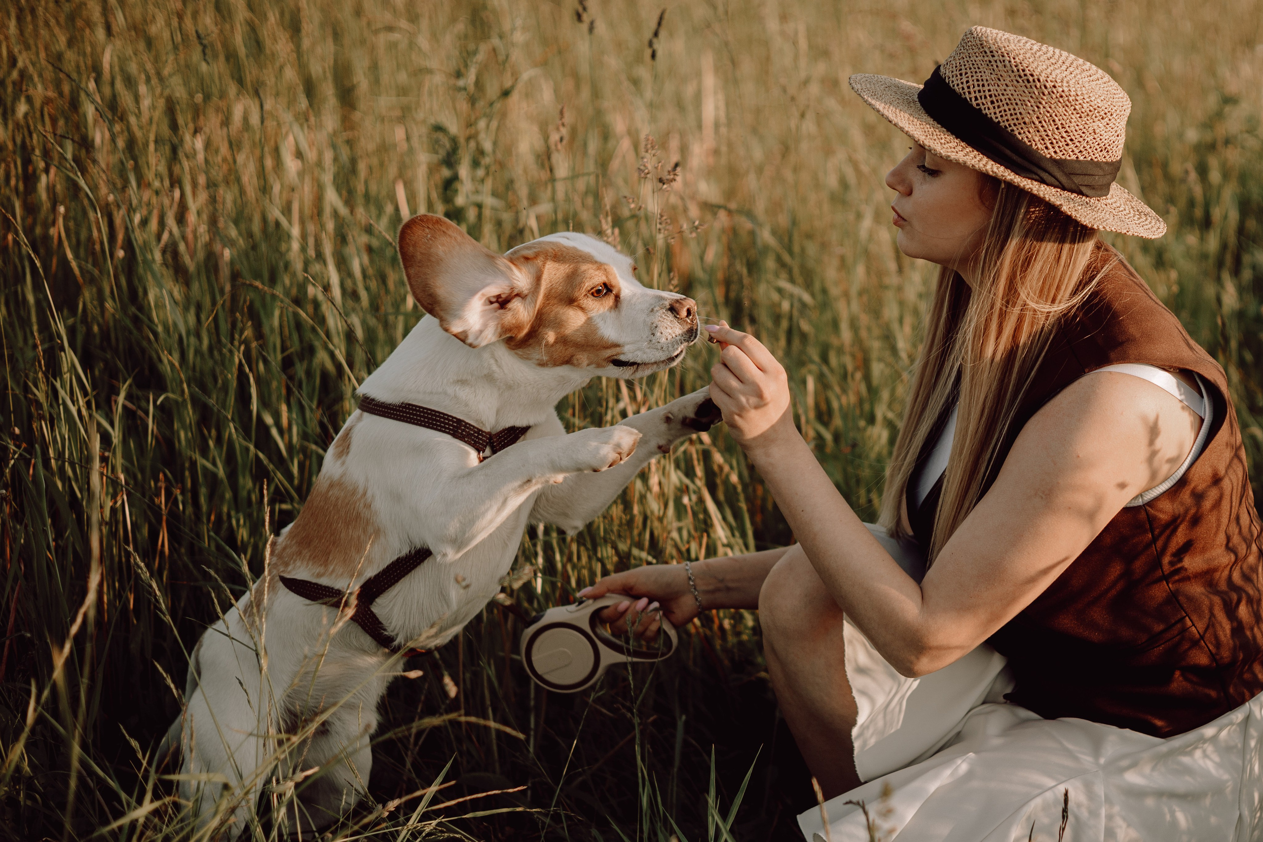 Мартин и его семья. Фотограф — анималист •love-story•|Санкт-Петербург