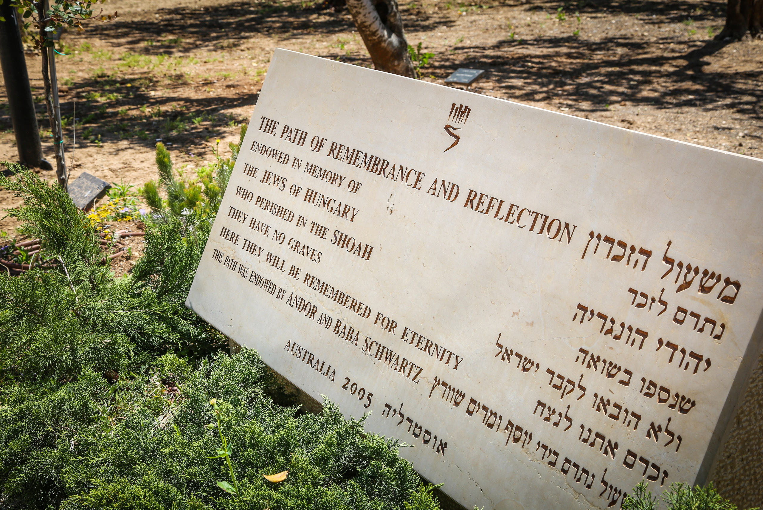 Израиль: Яд ва-Шем в День Победы. Дарья Письменюк / Darya Leitstern — фотограф, музыкант, журналист, путешественник