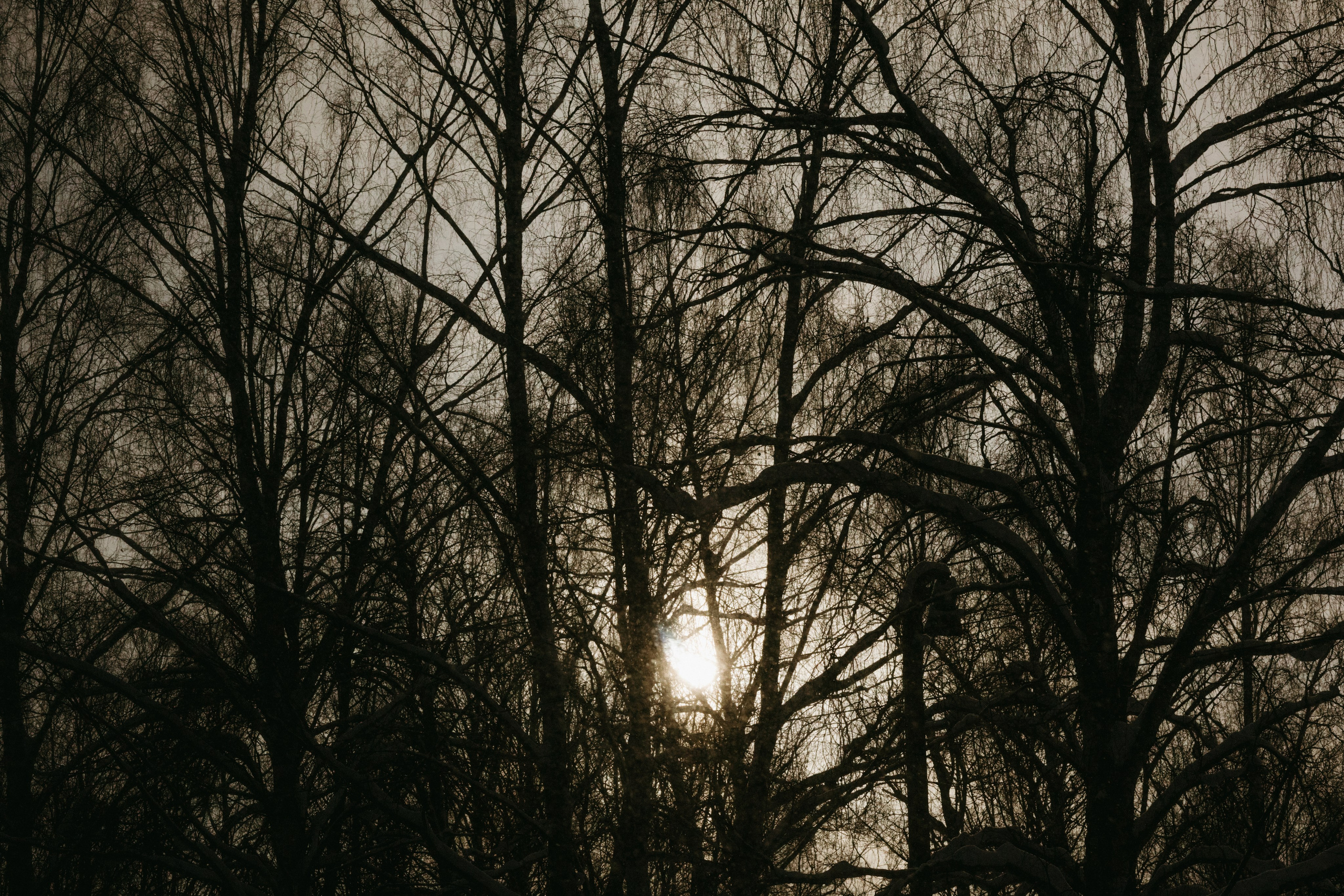 Виды из поезда. Фотограф Эльмира Лин