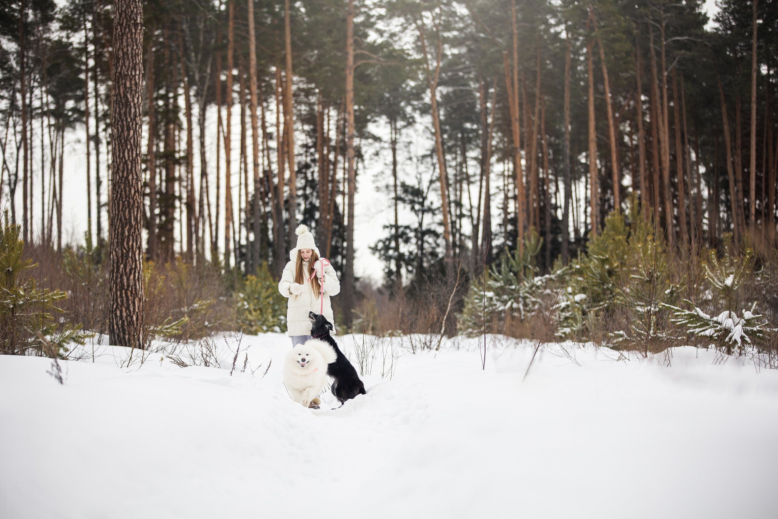 Валя, Варя и Лада. Фотограф анималист в Москве Майорова Евгения