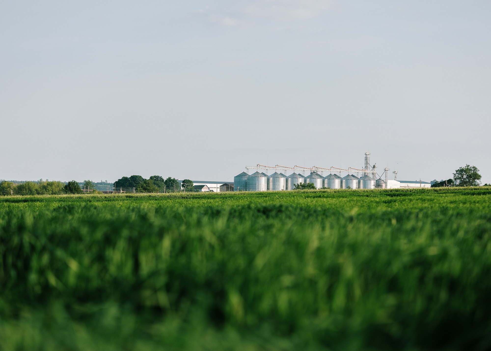 ЭкоНива — производитель молока № 1 в России