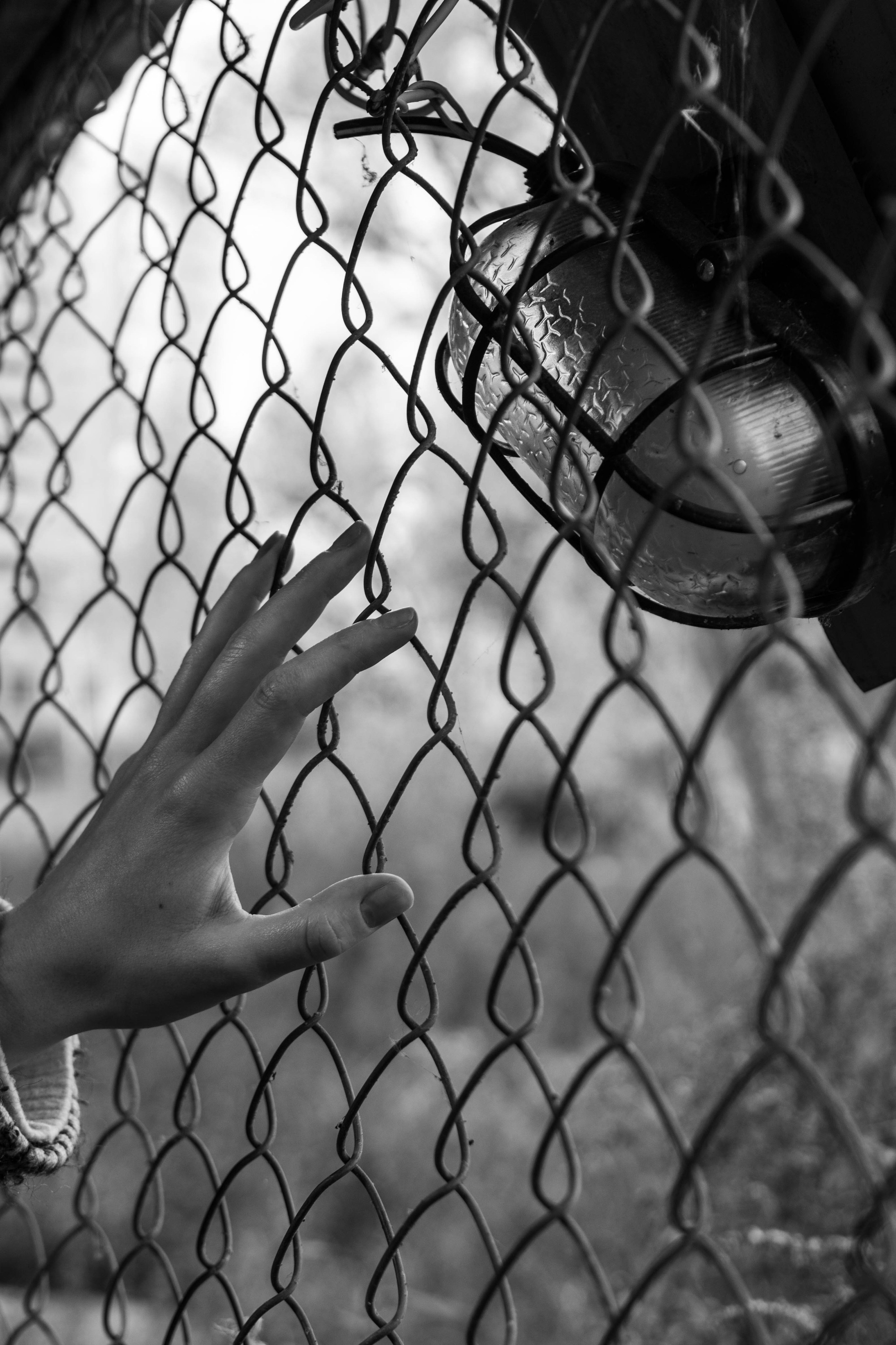 Черно-белая прогулка