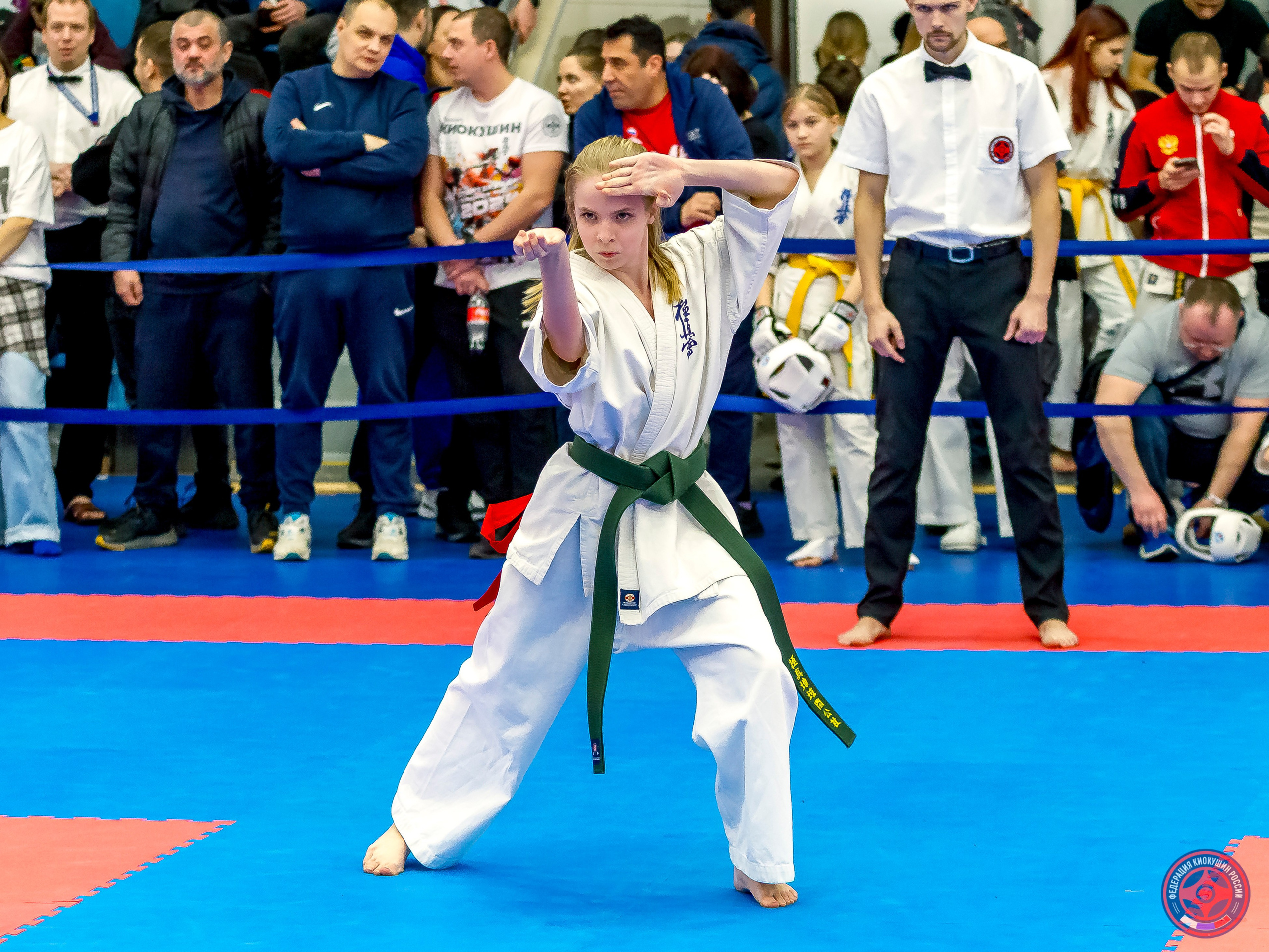Международный турнир по киокушин «Открытый кубок Seiken». Репортажная съемка в Москве и области. Анималистика