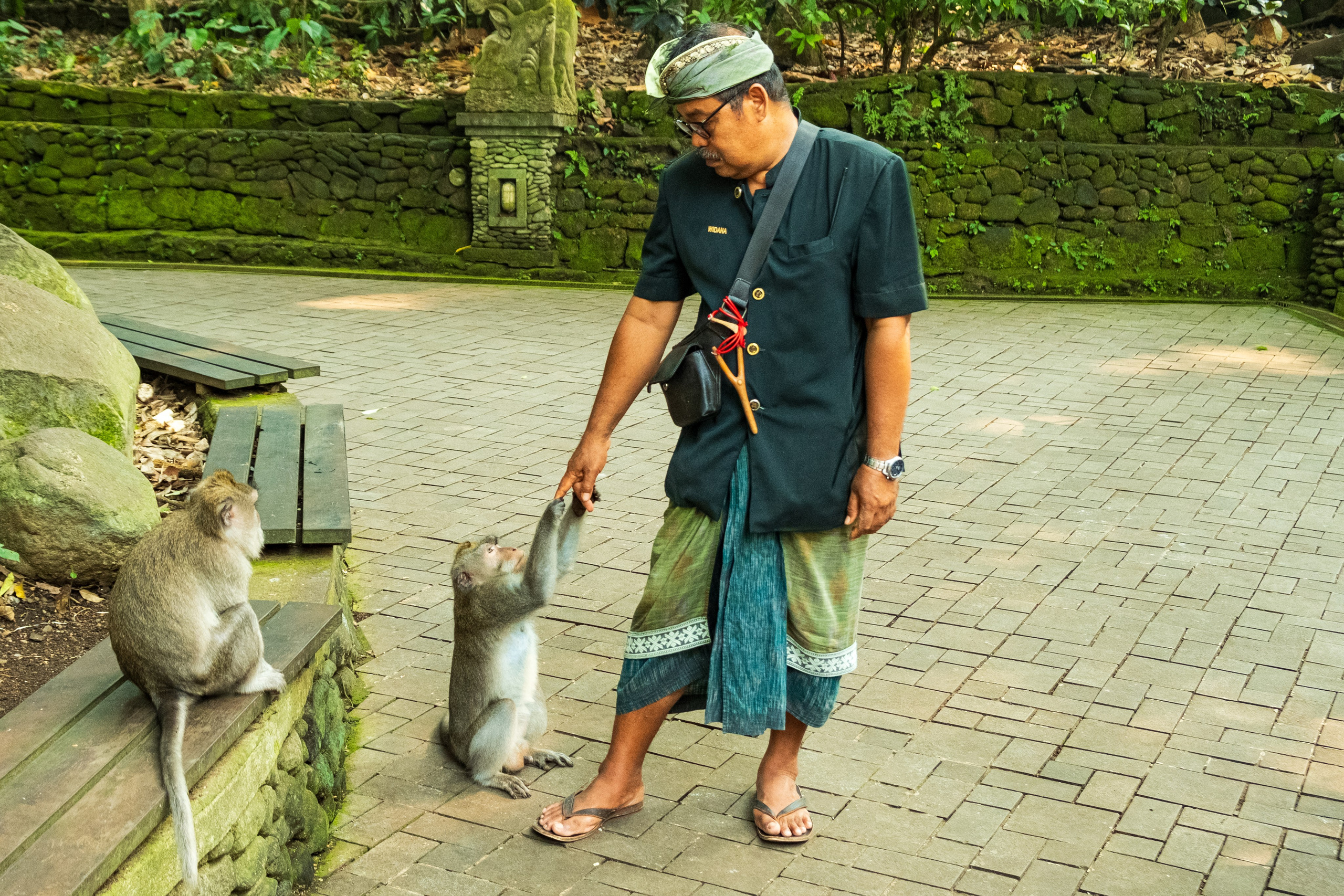 Остров Бали г. Убуд. Фотографии из путешествий