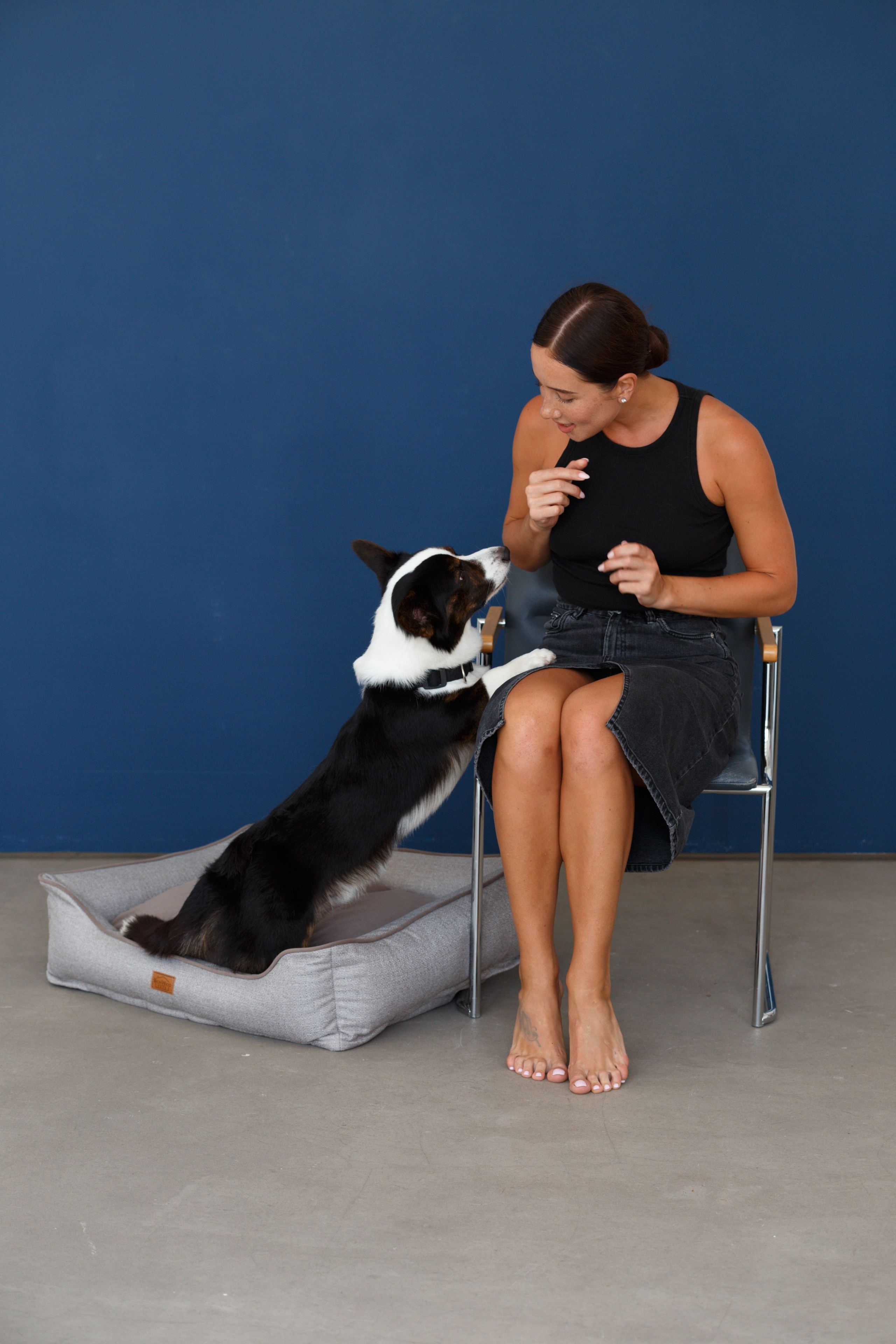 Boonwood Pets лежанки для животных. Фотограф анималист Кристина Карпова, Москва