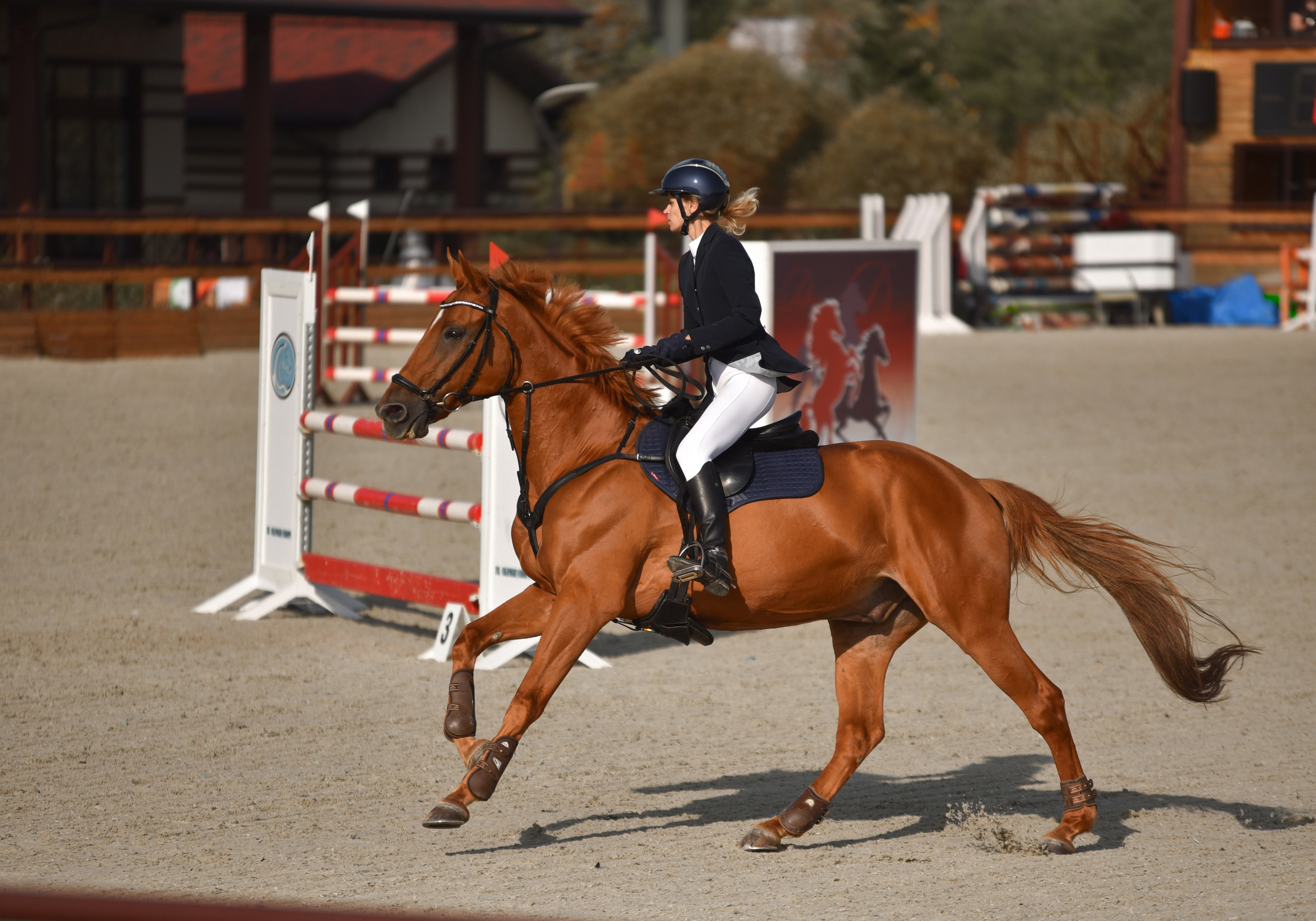 Репортажная съемка конных мероприятий. Конный фотограф из Москвы Ирина Бондаркова