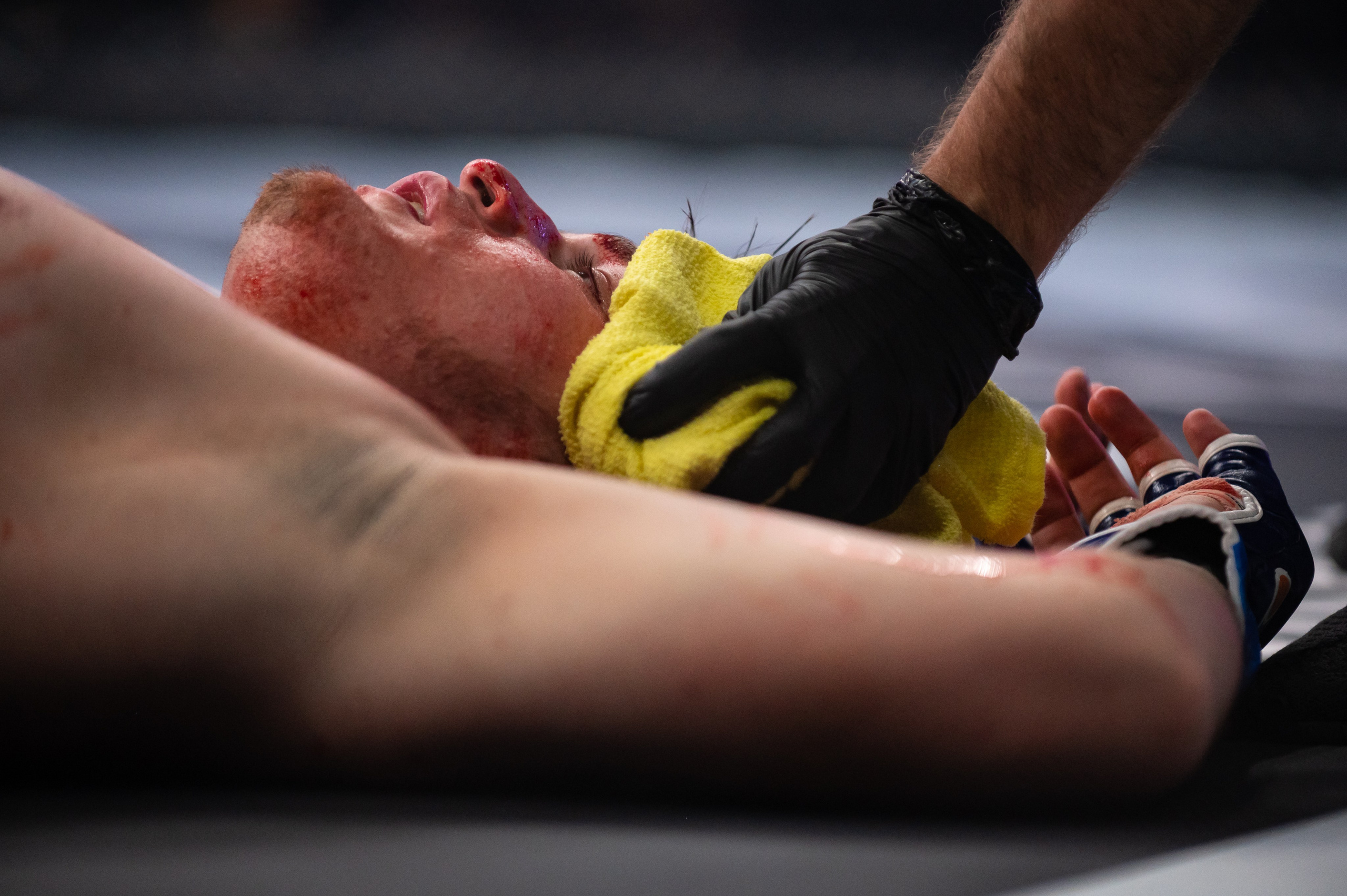 Бои. Репортажный фотограф в Красной Поляне и Сочи Павлюченко Екатерина