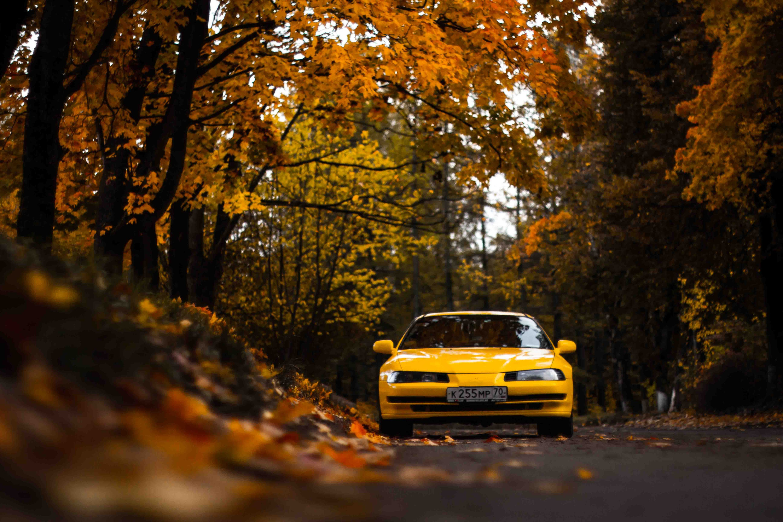 Осеннее настроение. Александр Попов