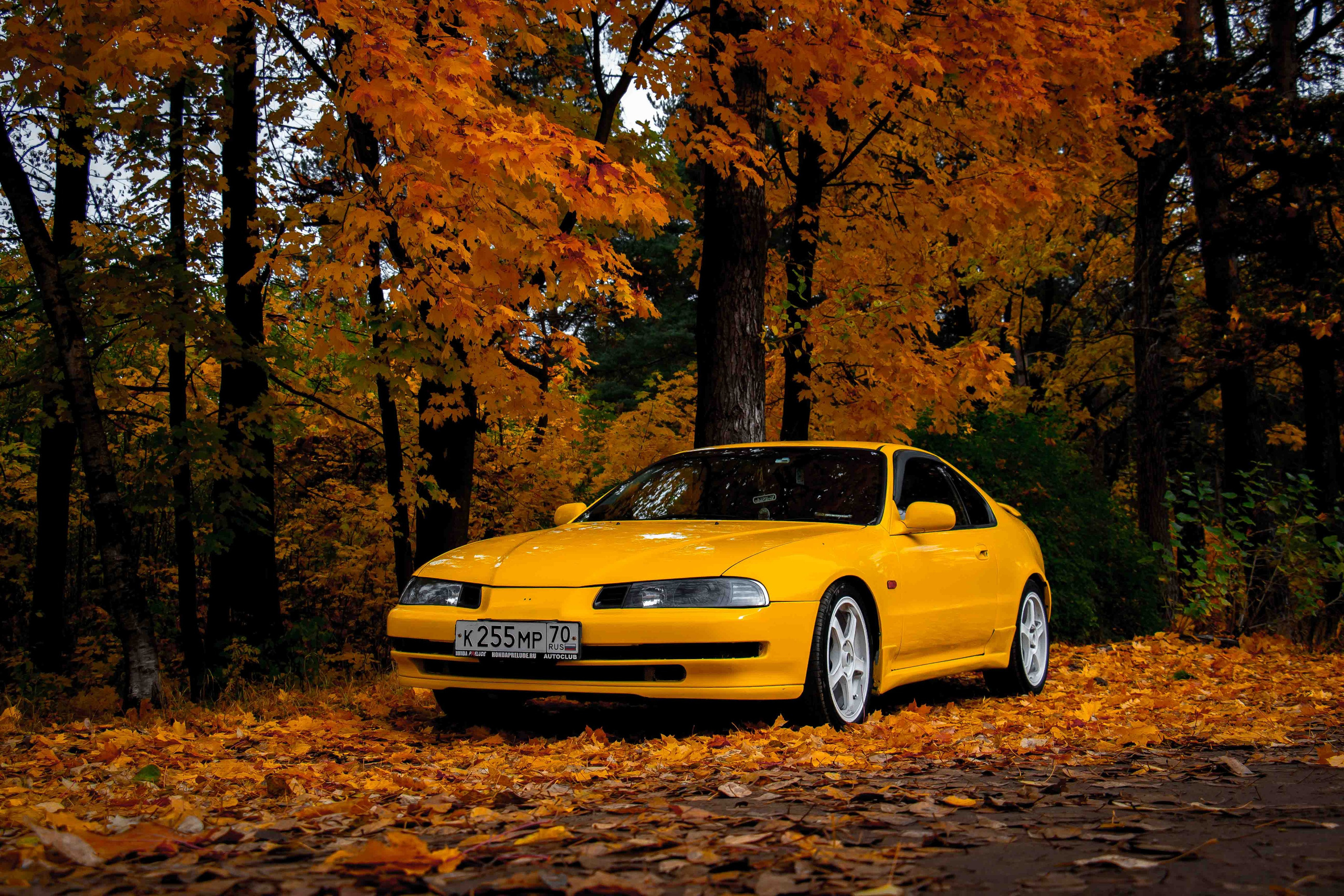 Осеннее настроение. Александр Попов