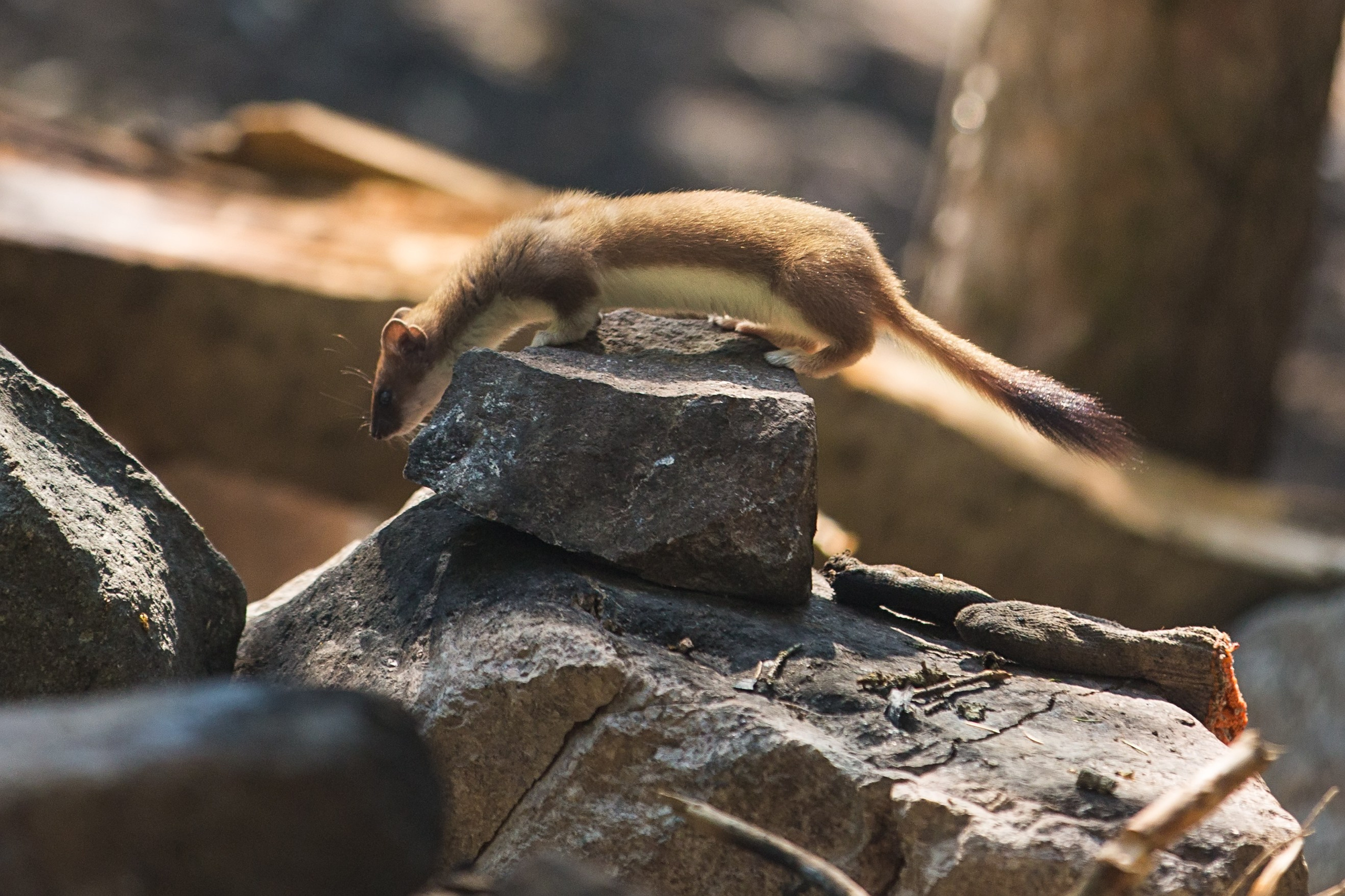 ЗАИЛИЙСКИЙ АЛАТАУ. КАЗАХСТАН. Фототуры и обучение пейзажной фотографии