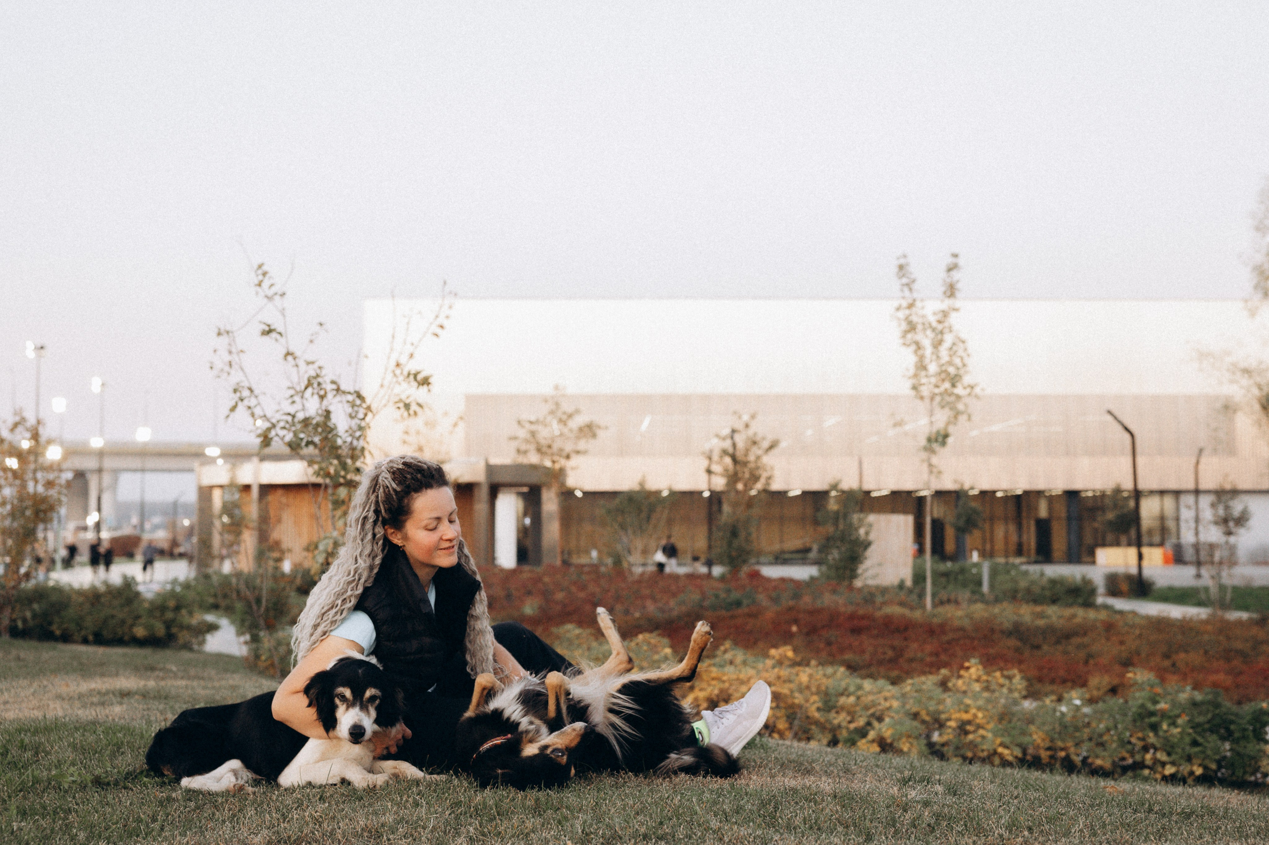 Алла и ее компания. Фотограф анималист в Казани Алина Сулейманова. Фотограф животных