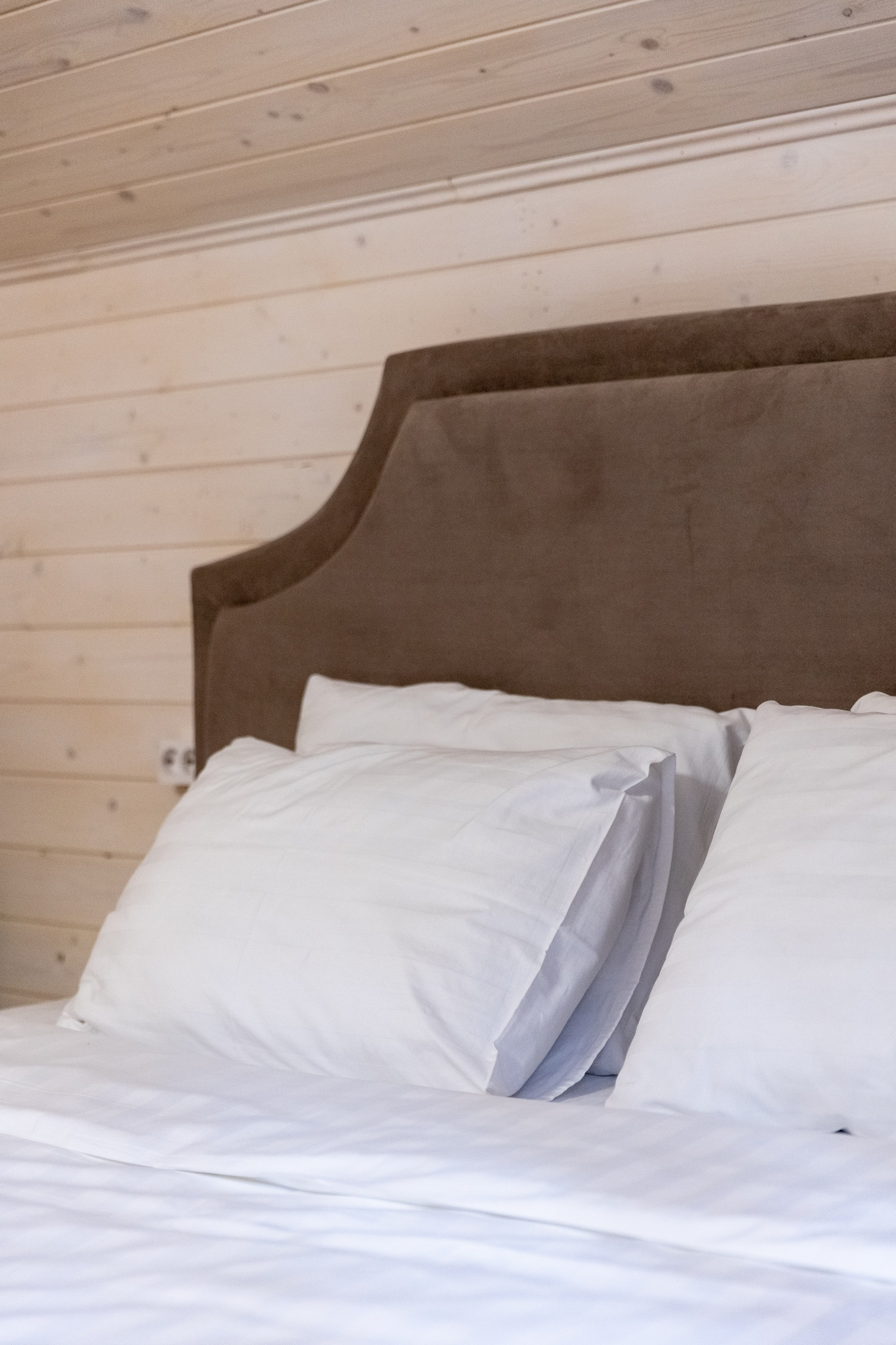 Wood 5642. Главная