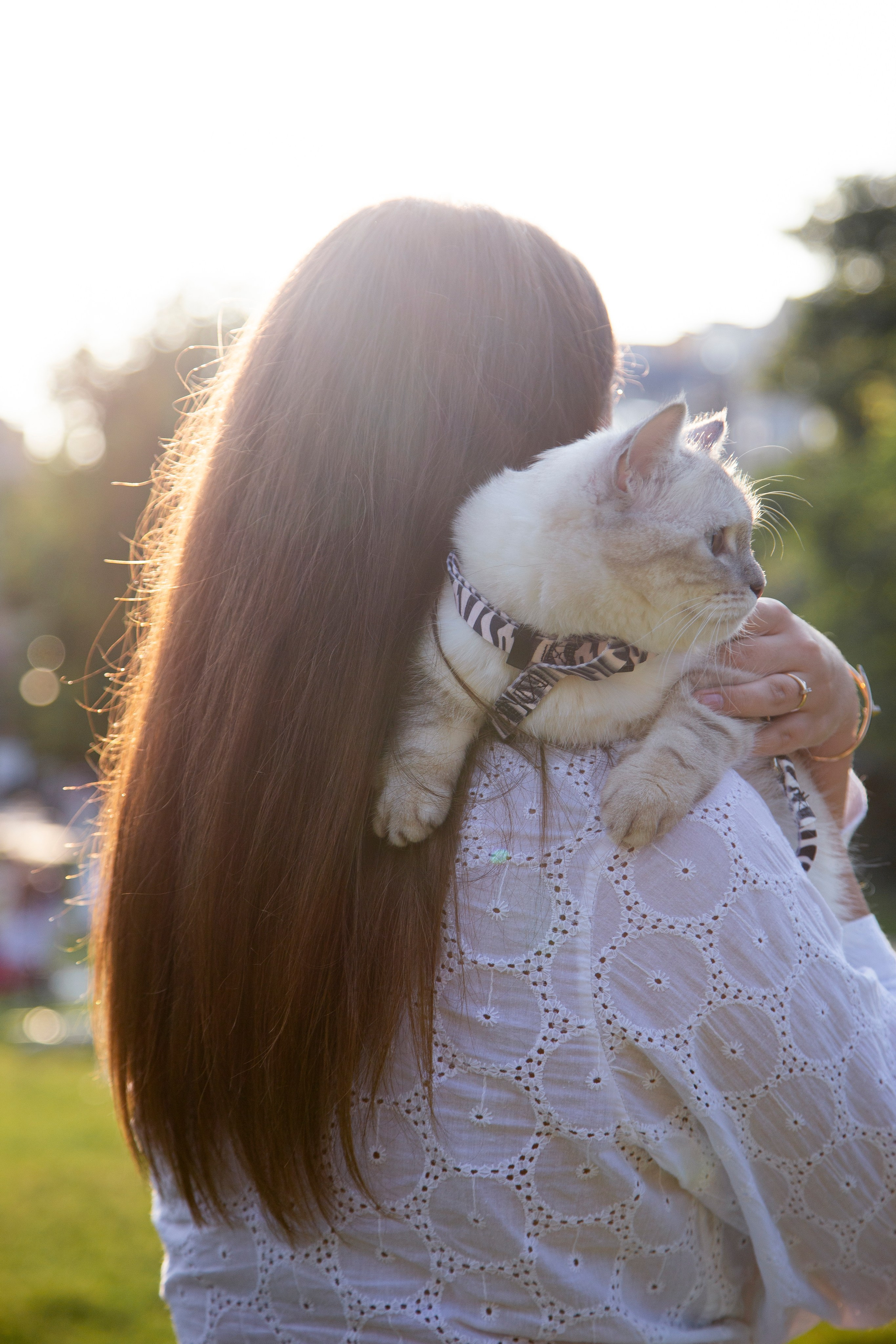 В моде тёплые коты. Репортажный и портретный фотограф Казань / Горячих Полина