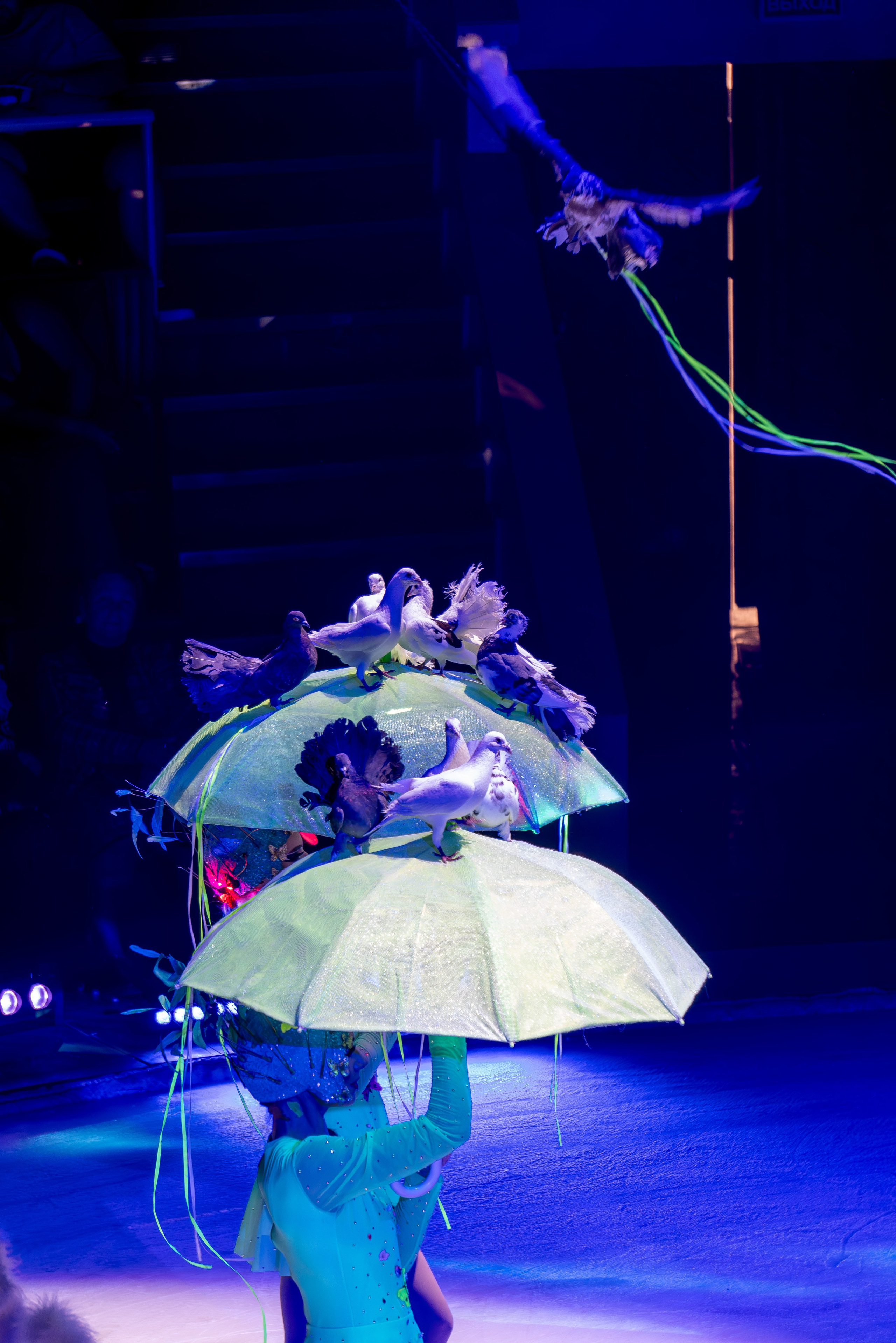 Цирк на льду «Айсберг» в Луганске. Фотограф в РФ и ЛНР Юлия Федосеева