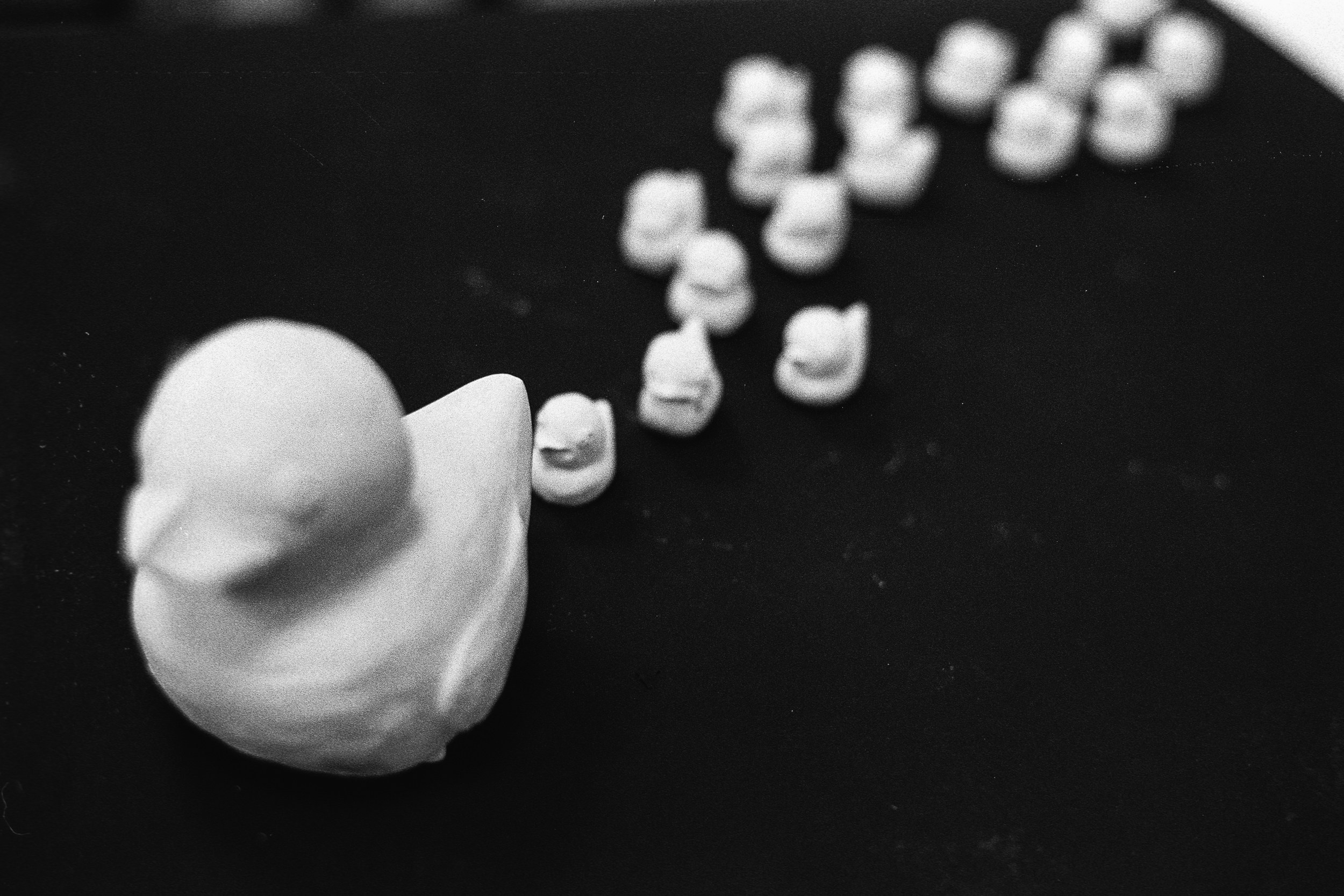 Фестиваль «Сделано в Сибири». Портретный и репортажный фотограф. Мыльников Илья