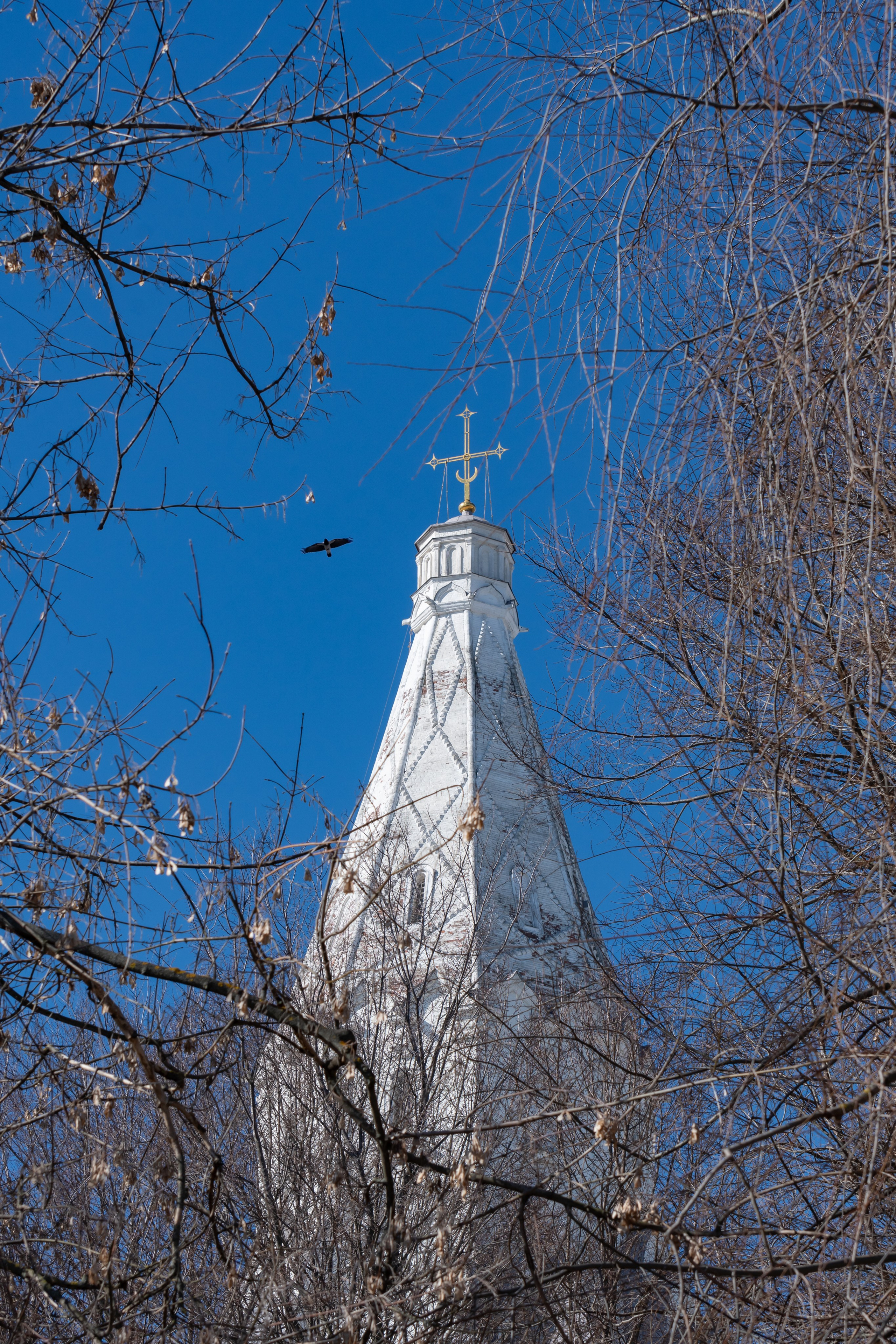 20220320 Коломенское. Дмитрий Ремизов. Фотография, как хобби
