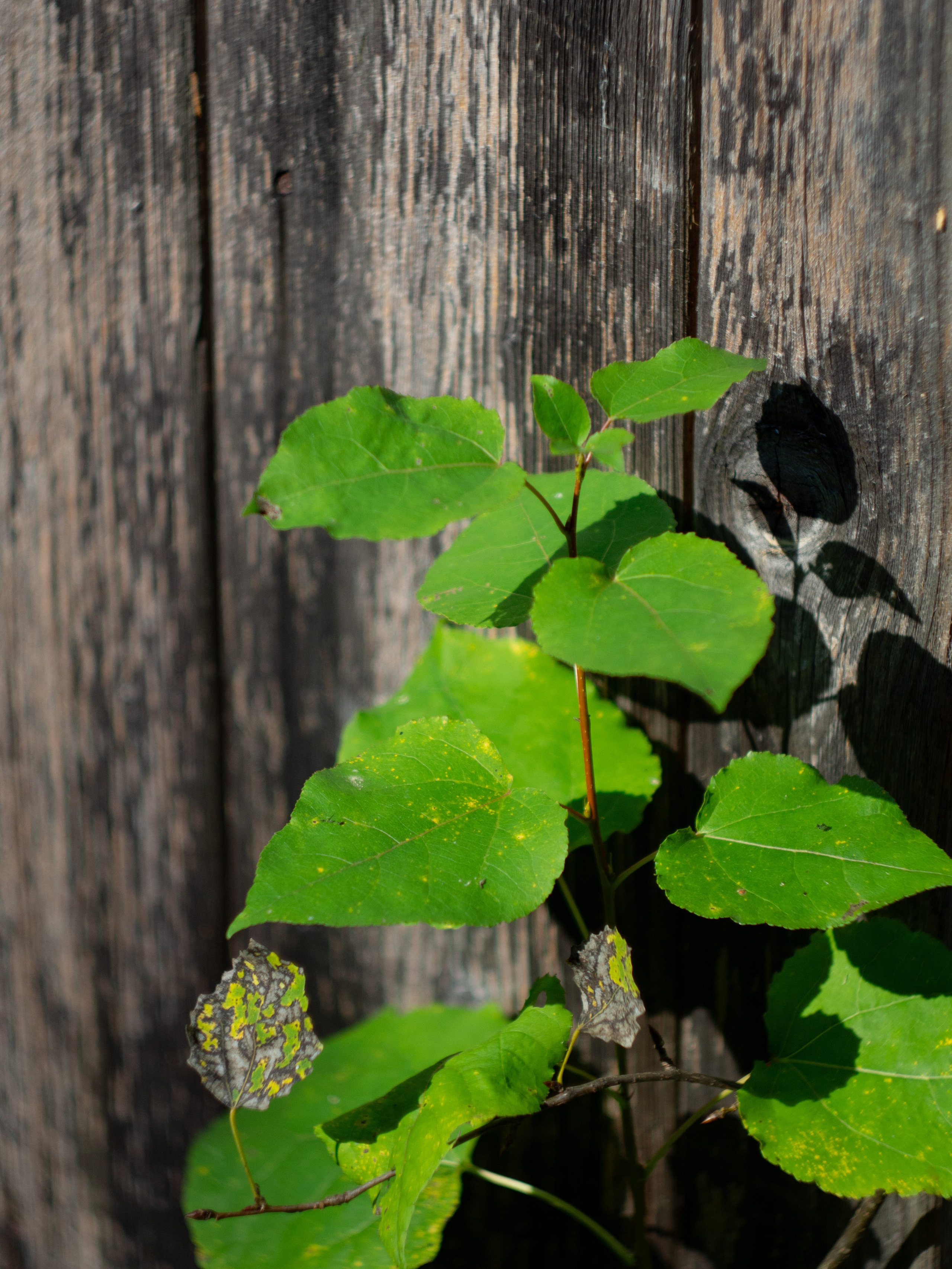 20230923-25 Родники. Дмитрий Ремизов. Фотография, как хобби