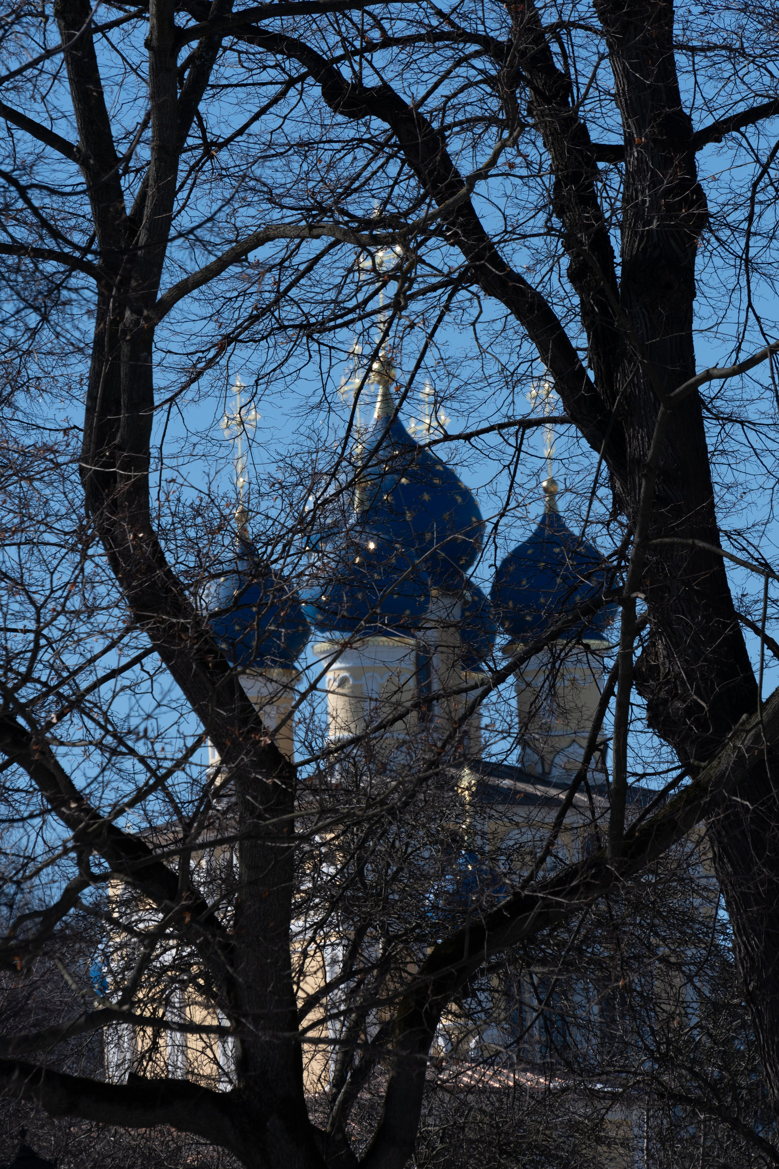 20220320 Коломенское. Дмитрий Ремизов. Фотография, как хобби