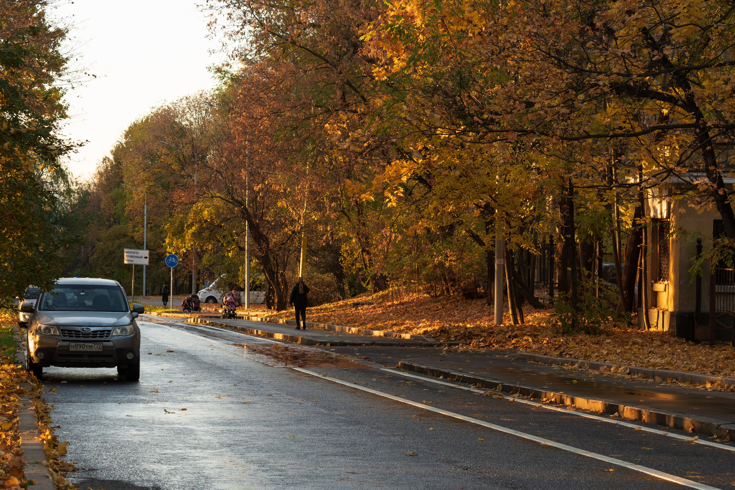 20211010 МГУ. Дмитрий Ремизов. Фотография, как хобби