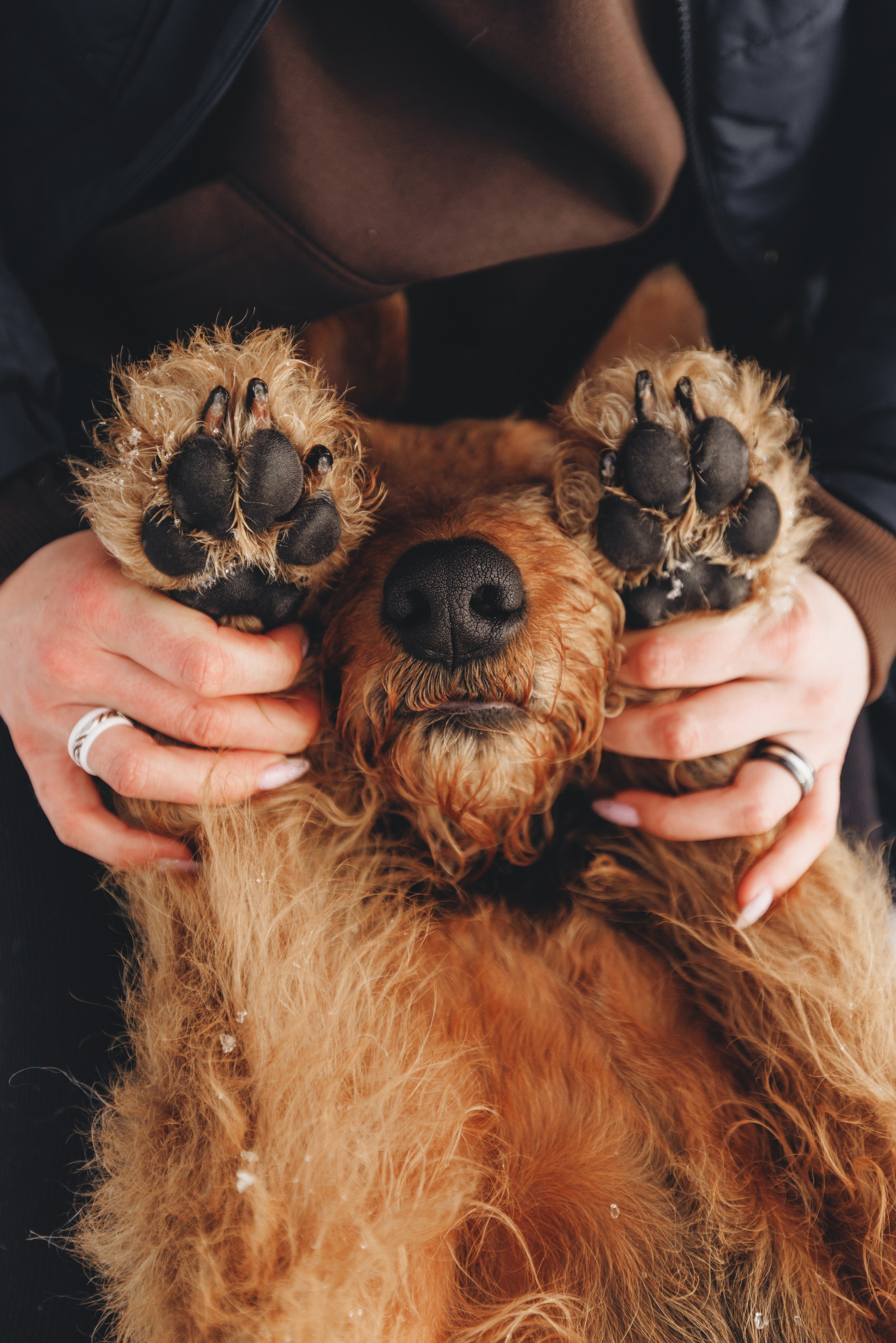 Оля и Хард. Фотограф анималист Осипчикова Мария