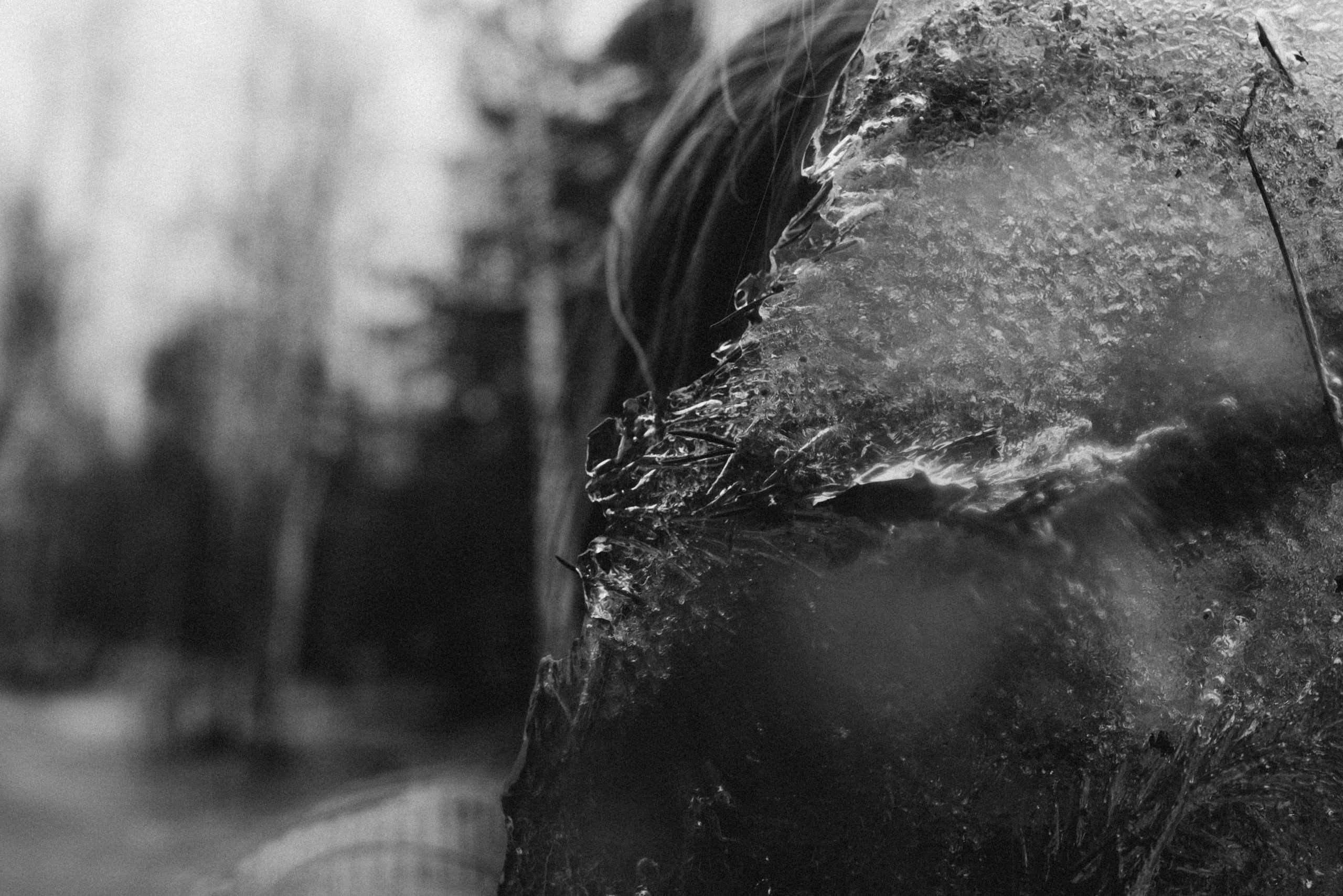 Лес (Алена). Фотограф в Москве и МО Бреусова Татьяна