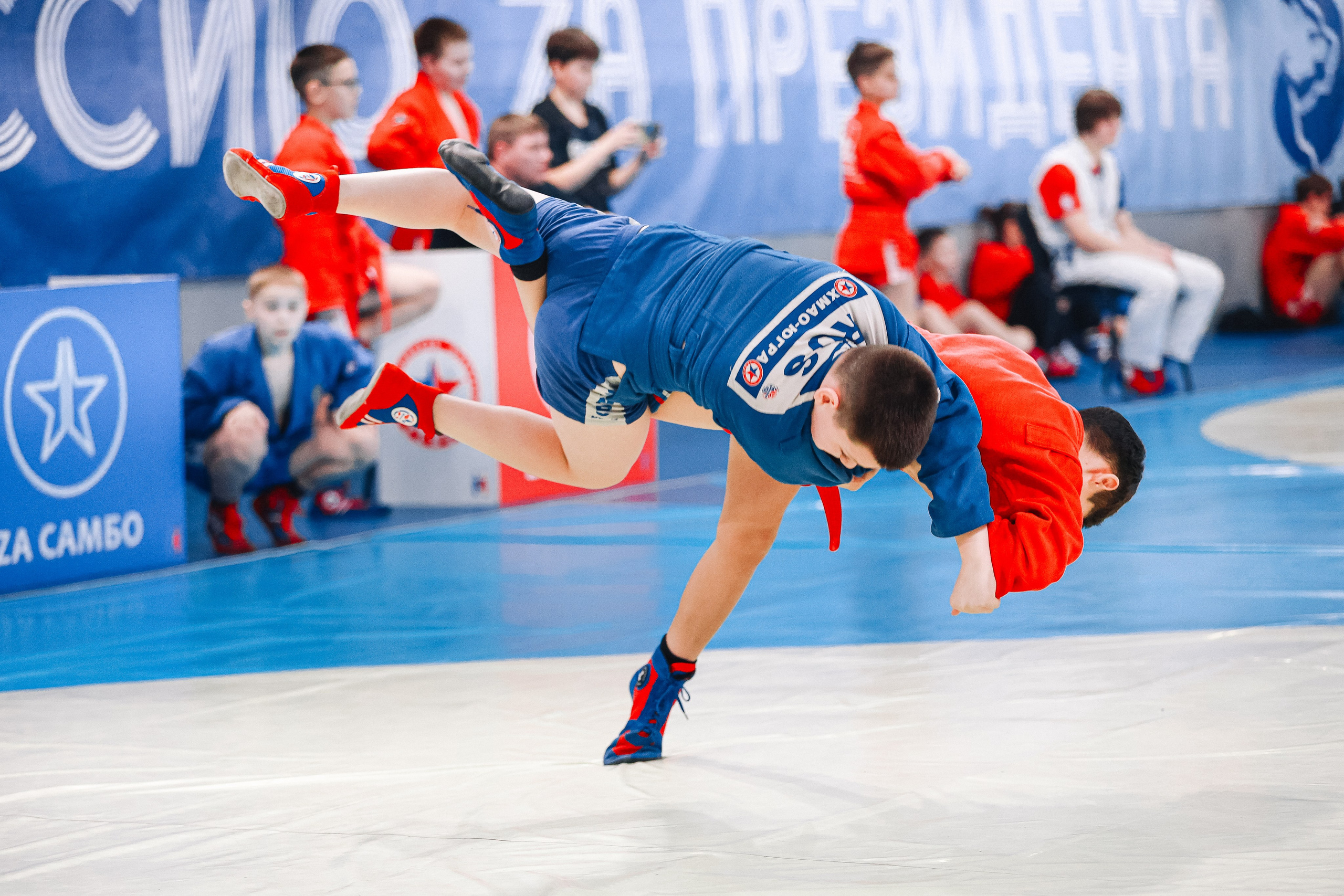 Первенство Тюмени по самбо. MIG — студия спортивной фотографии Михаила Голянского